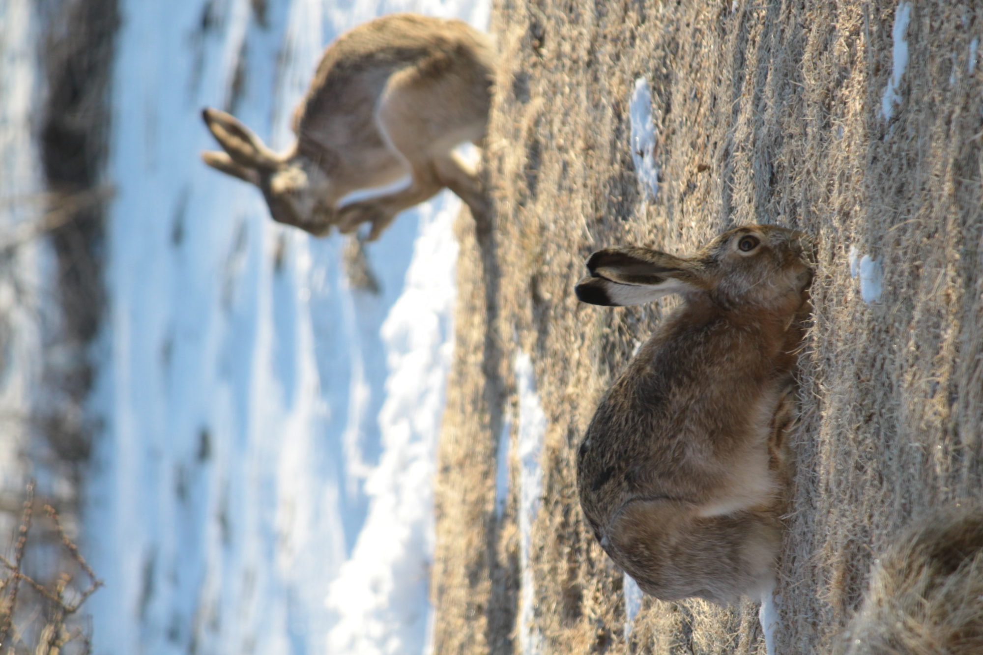 Valokuvaaja: Kaarina Heiskanen