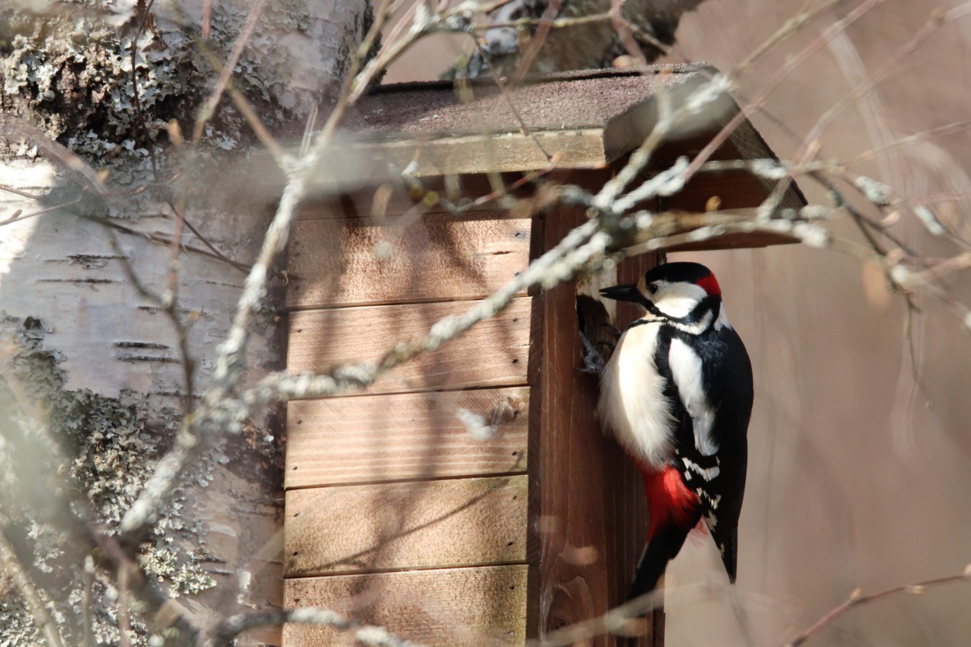 Valokuvaaja: Irja Lehtinen