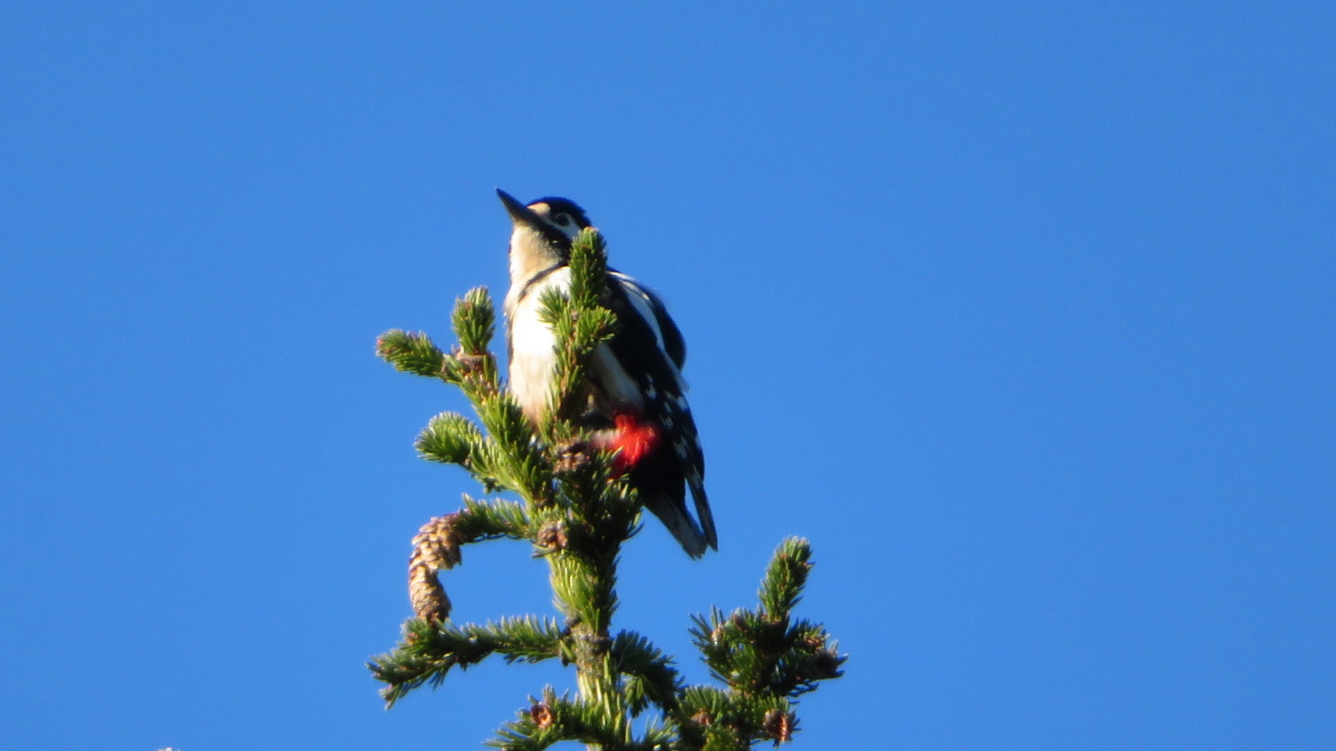 Valokuvaaja: Risto Kangassalo