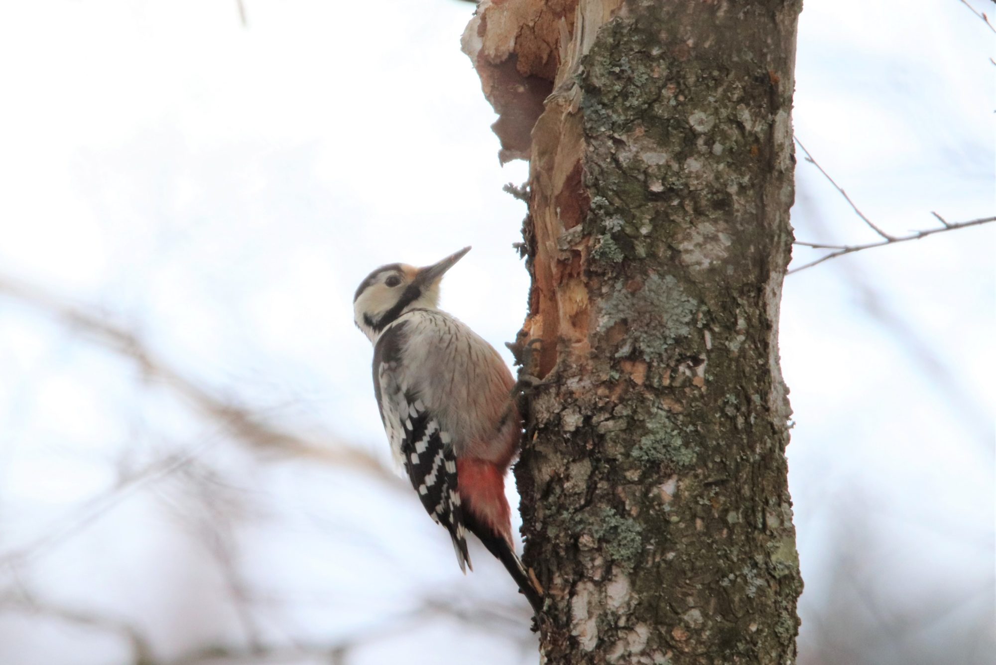 Valokuvaaja: Irja Lehtinen Valokuvaaja: Irja Lehtinen