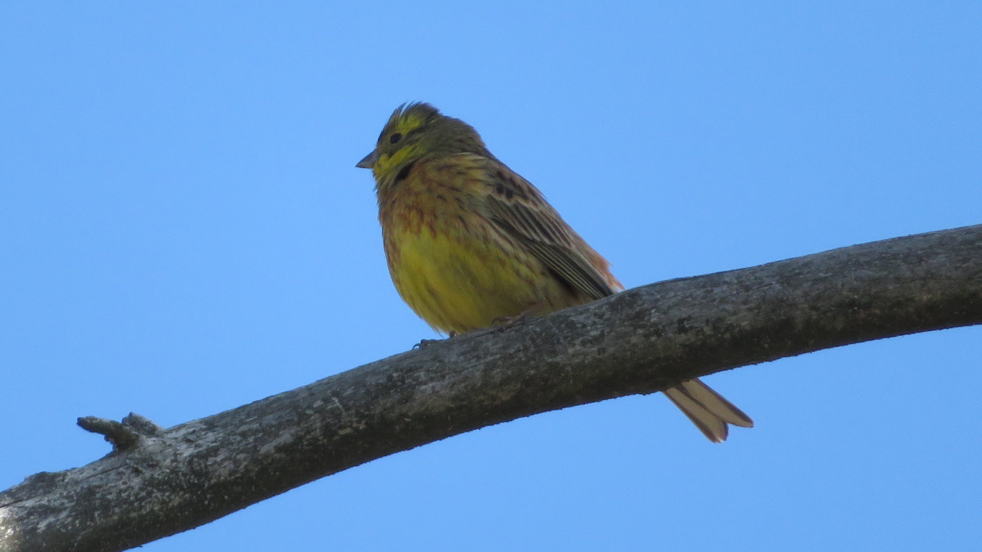 Valokuvaaja: Risto Kangassalo