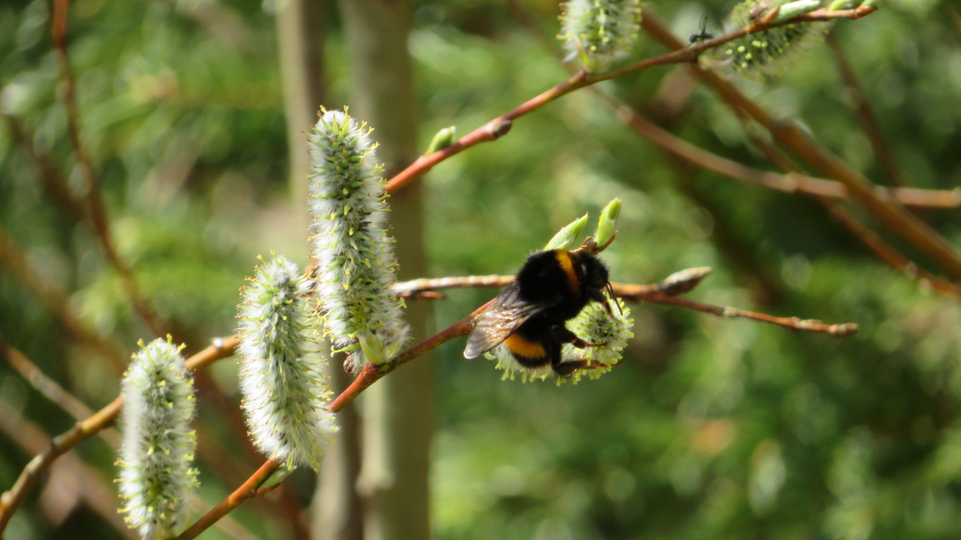Valokuvaaja: Risto Kangassalo