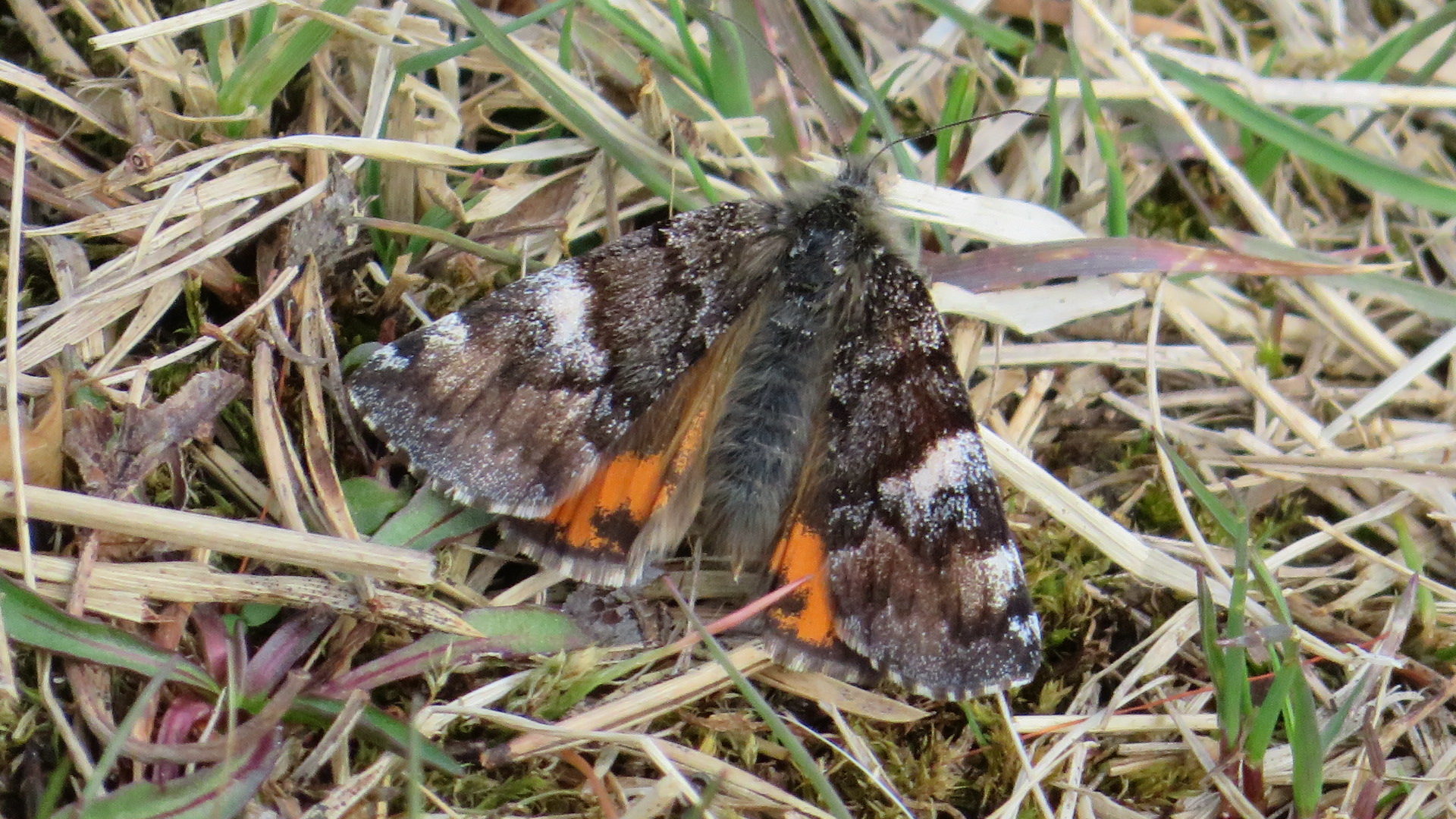 Valokuvaaja: Risto Kangassalo