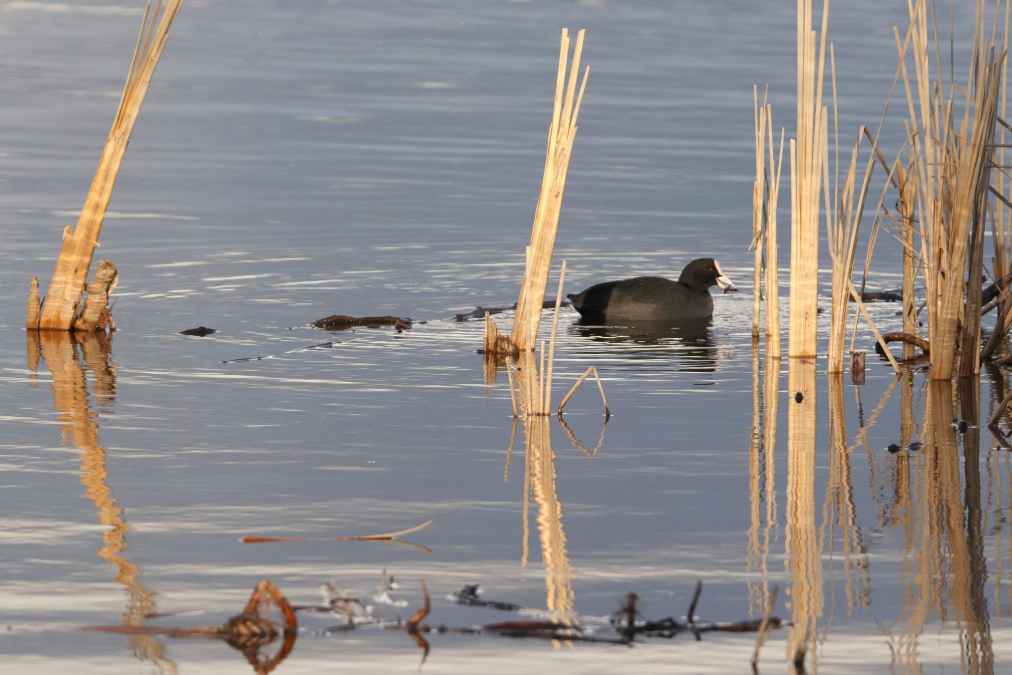 Valokuvaaja: Irja Lehtinen