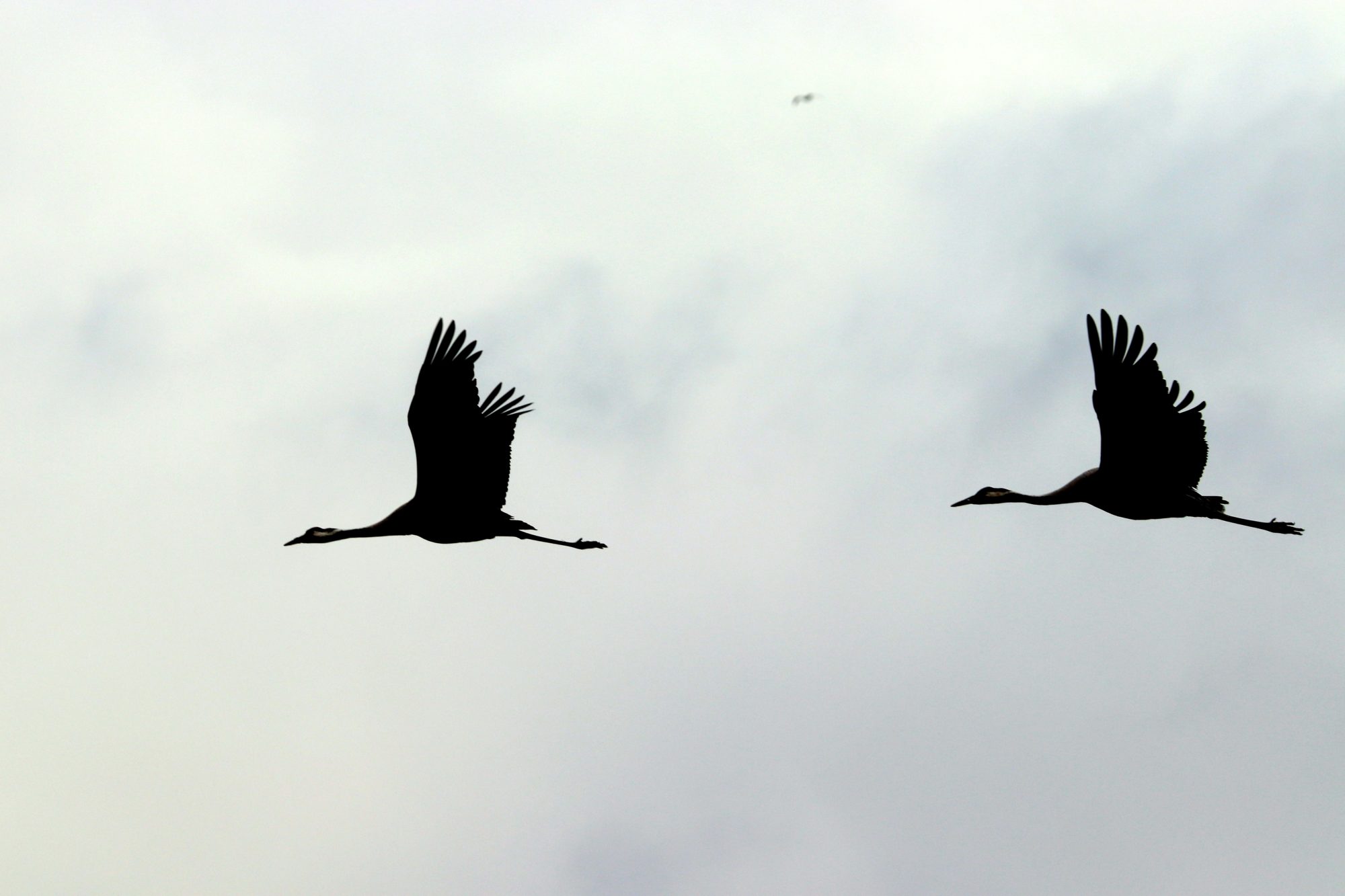 Valokuvaaja: Irja Lehtinen