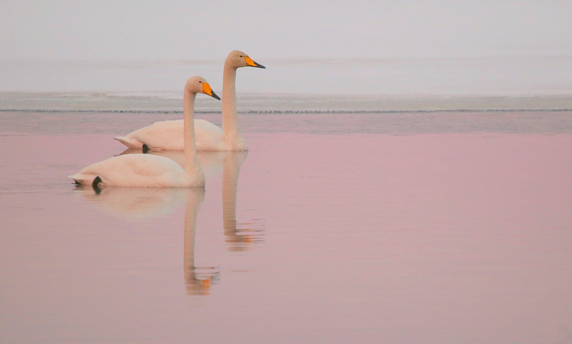 Valokuvaaja: Raija Kokkola