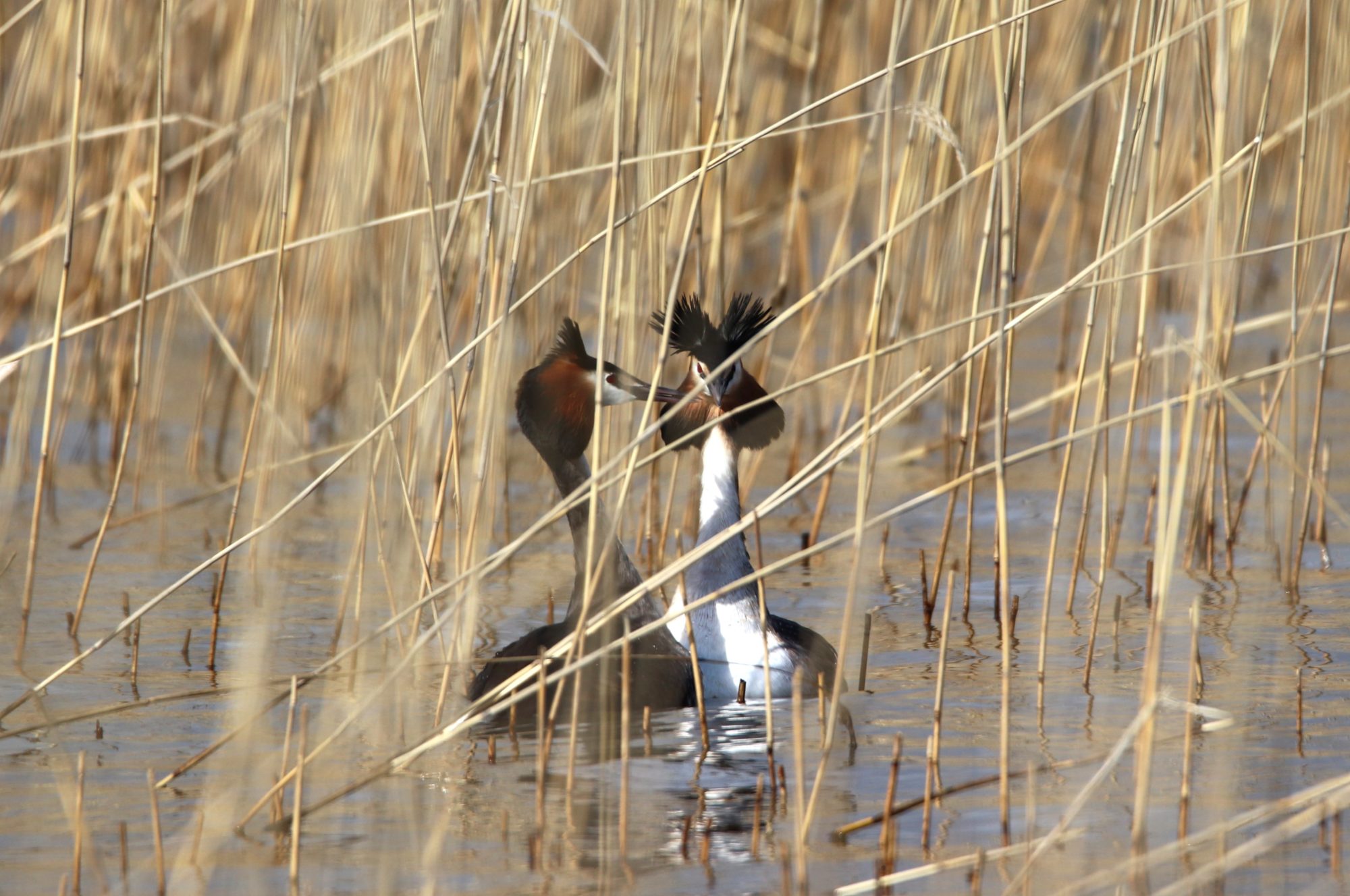 Valokuvaaja: Irja Lehtinen Valokuvaaja: Irja Lehtinen