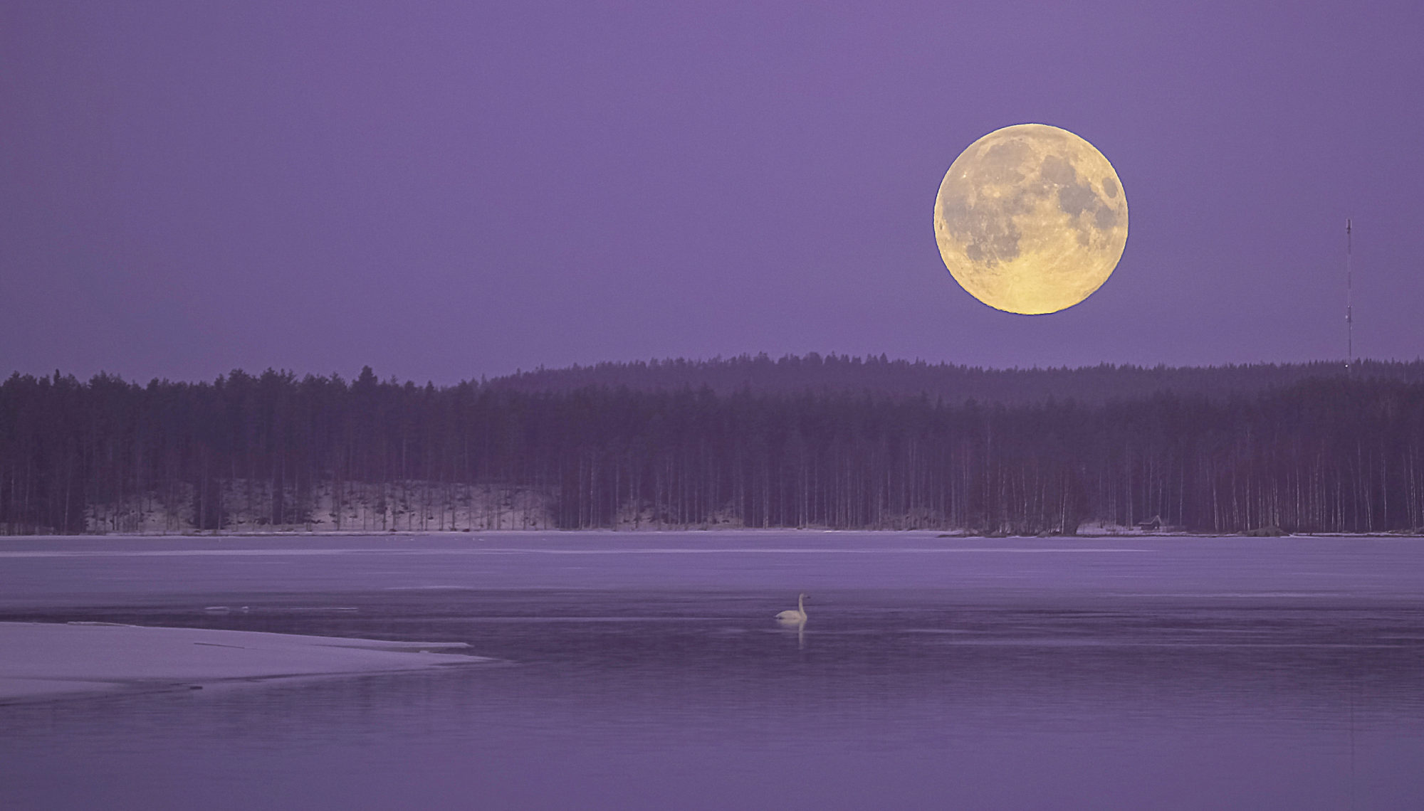 Valokuvaaja: Raija Kokkola
