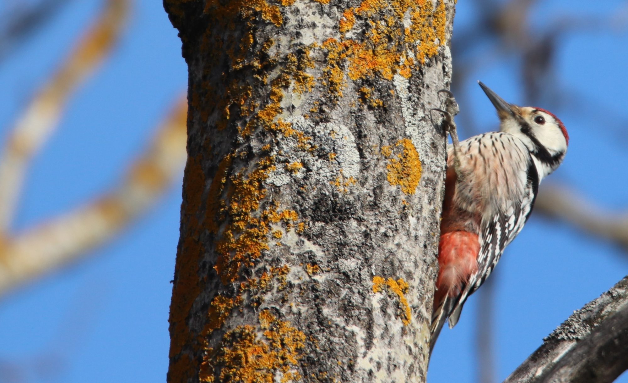 Valokuvaaja: Irja Lehtinen
