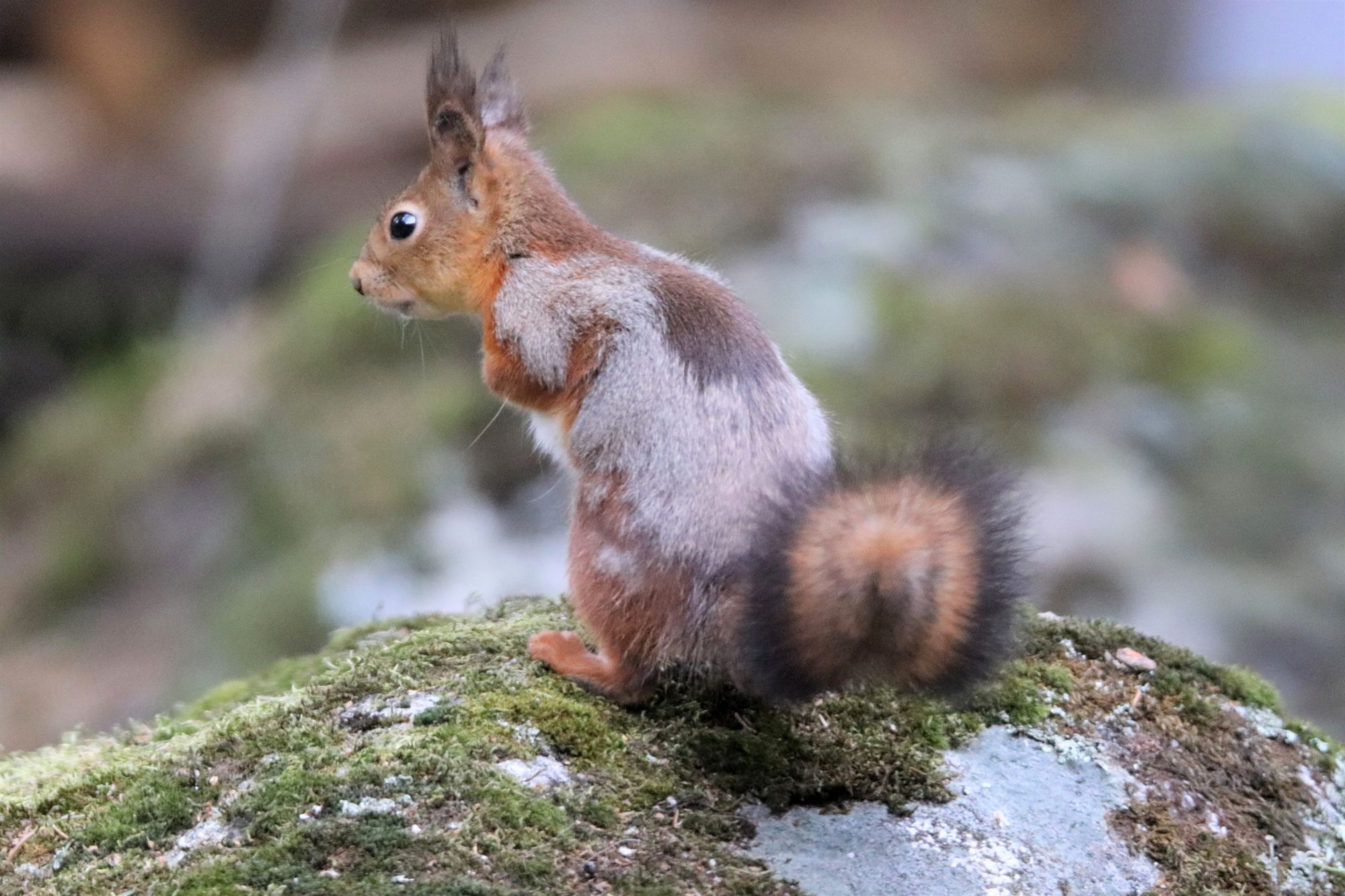 Valokuvaaja: Irja Lehtinen