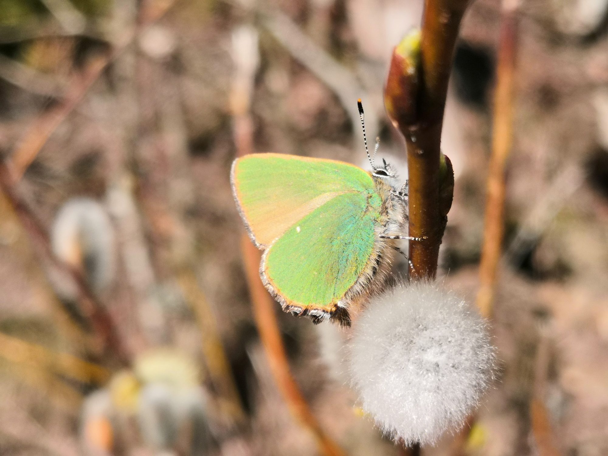 Valokuvaaja: Mari Ahtola