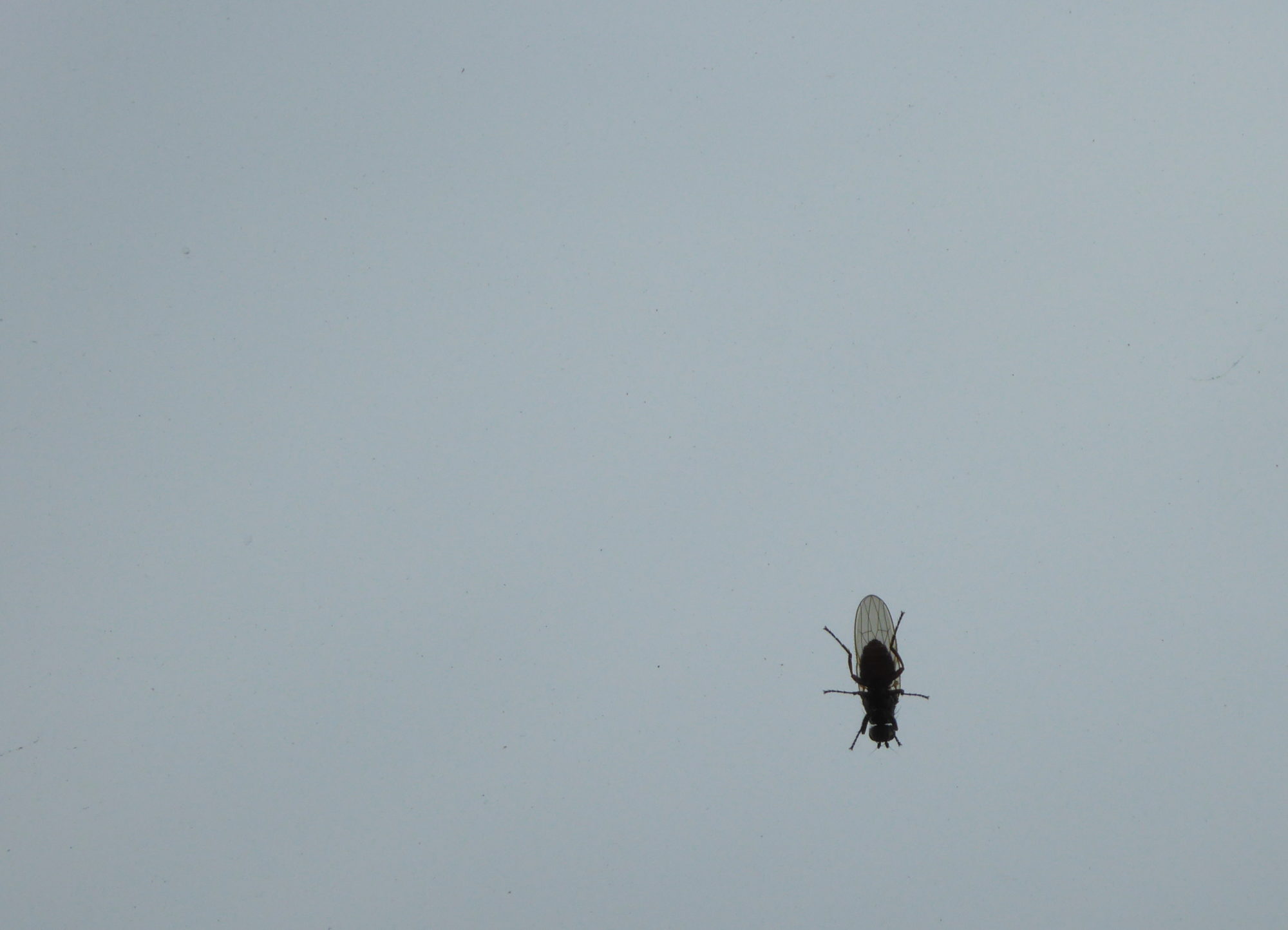 Valokuvaaja: Toni Asikainen