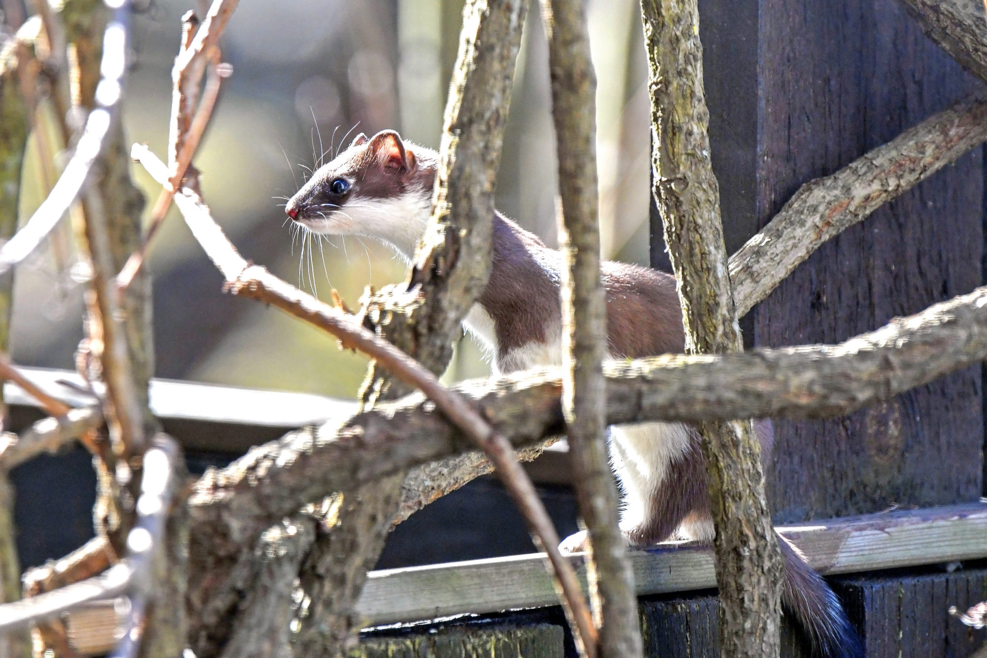 Valokuvaaja: Esko Pihl