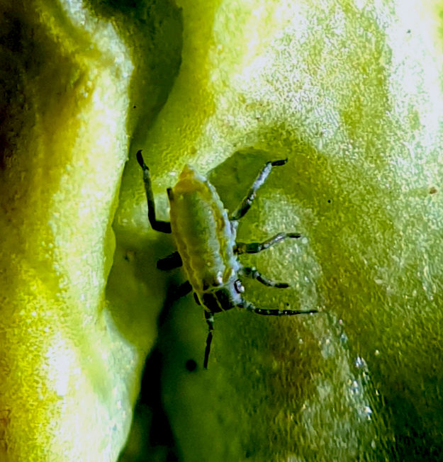 Valokuvaaja: Mikko Saarinen Valokuvaaja: Mikko Saarinen