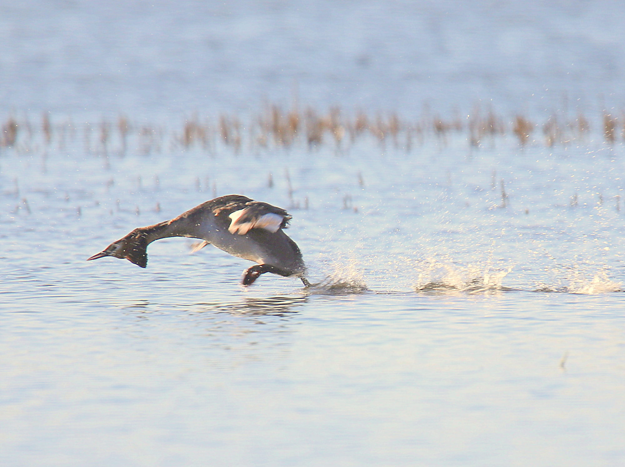 Valokuvaaja: sirpa jyske Valokuvaaja: sirpa jyske