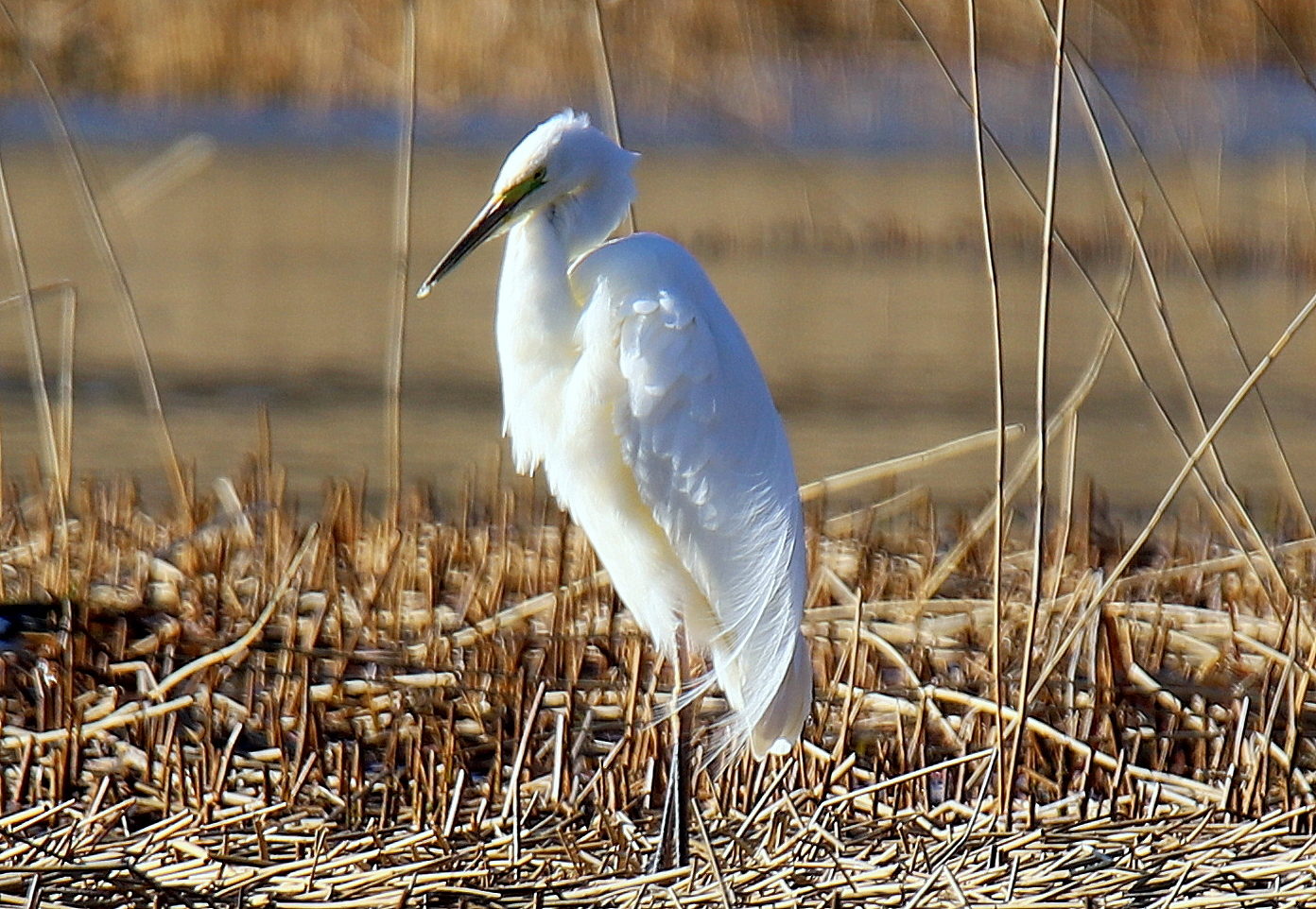 Valokuvaaja: sirpa jyske