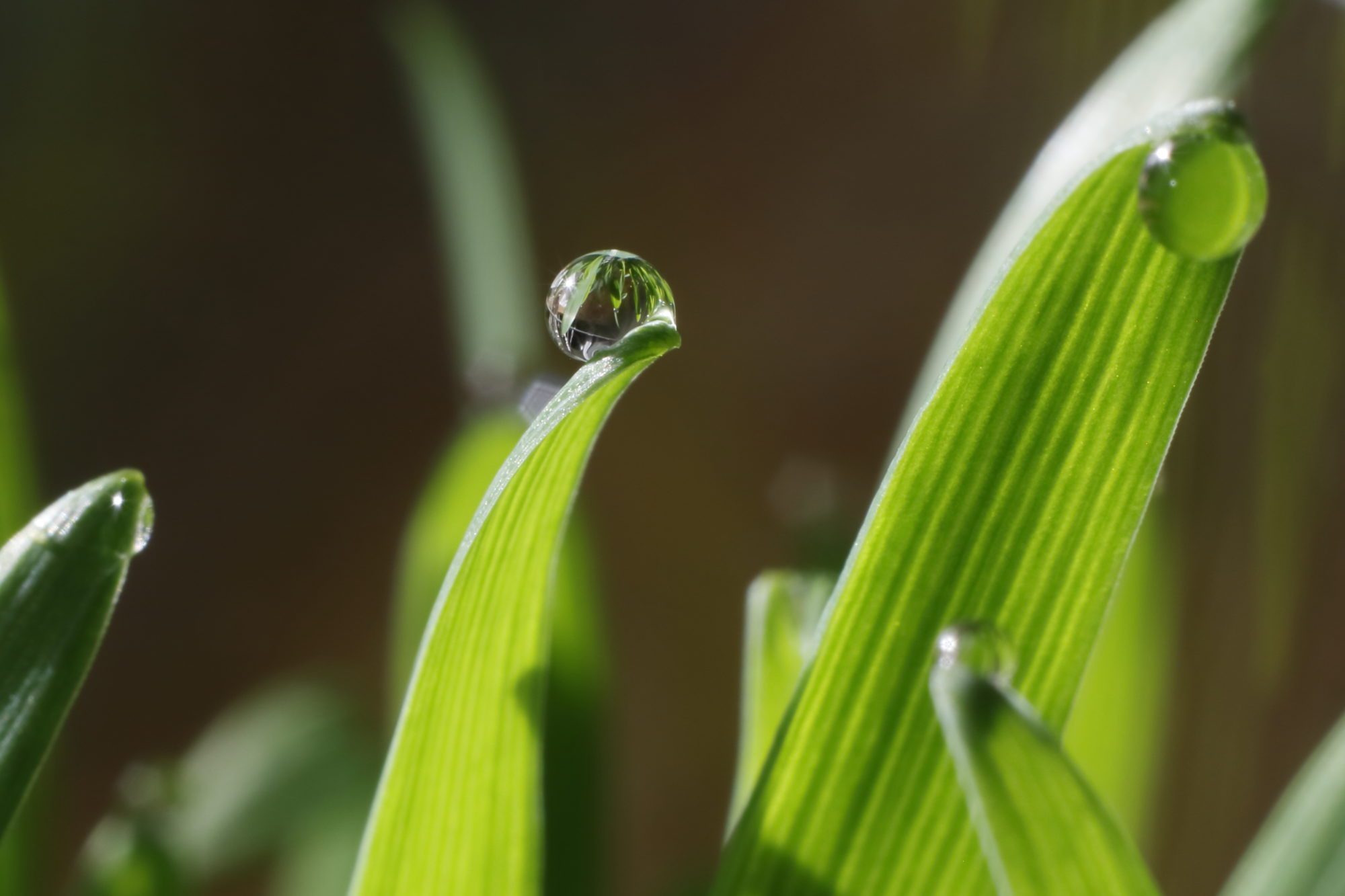 Valokuvaaja: Lasse Kokko