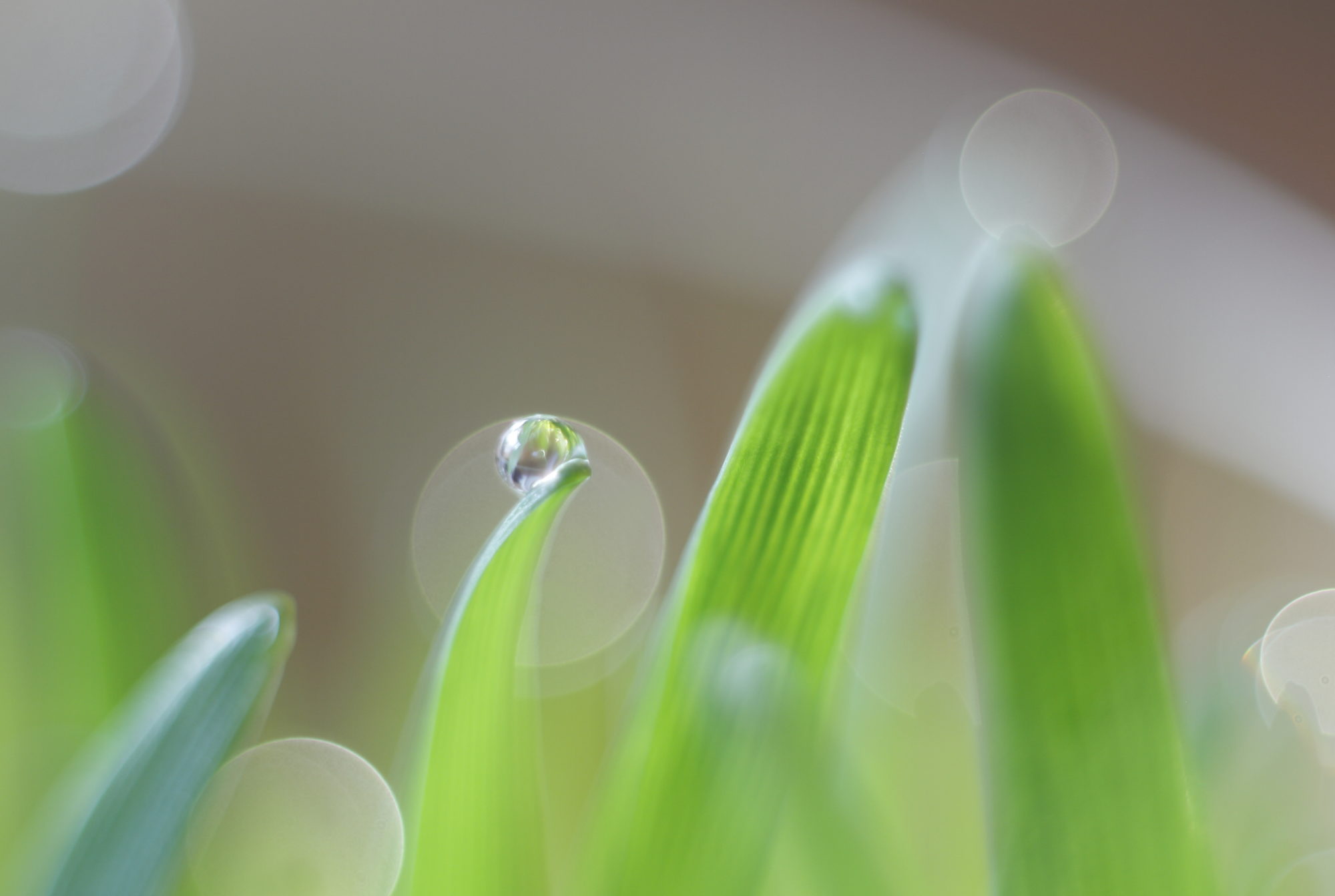 Valokuvaaja: Lasse Kokko