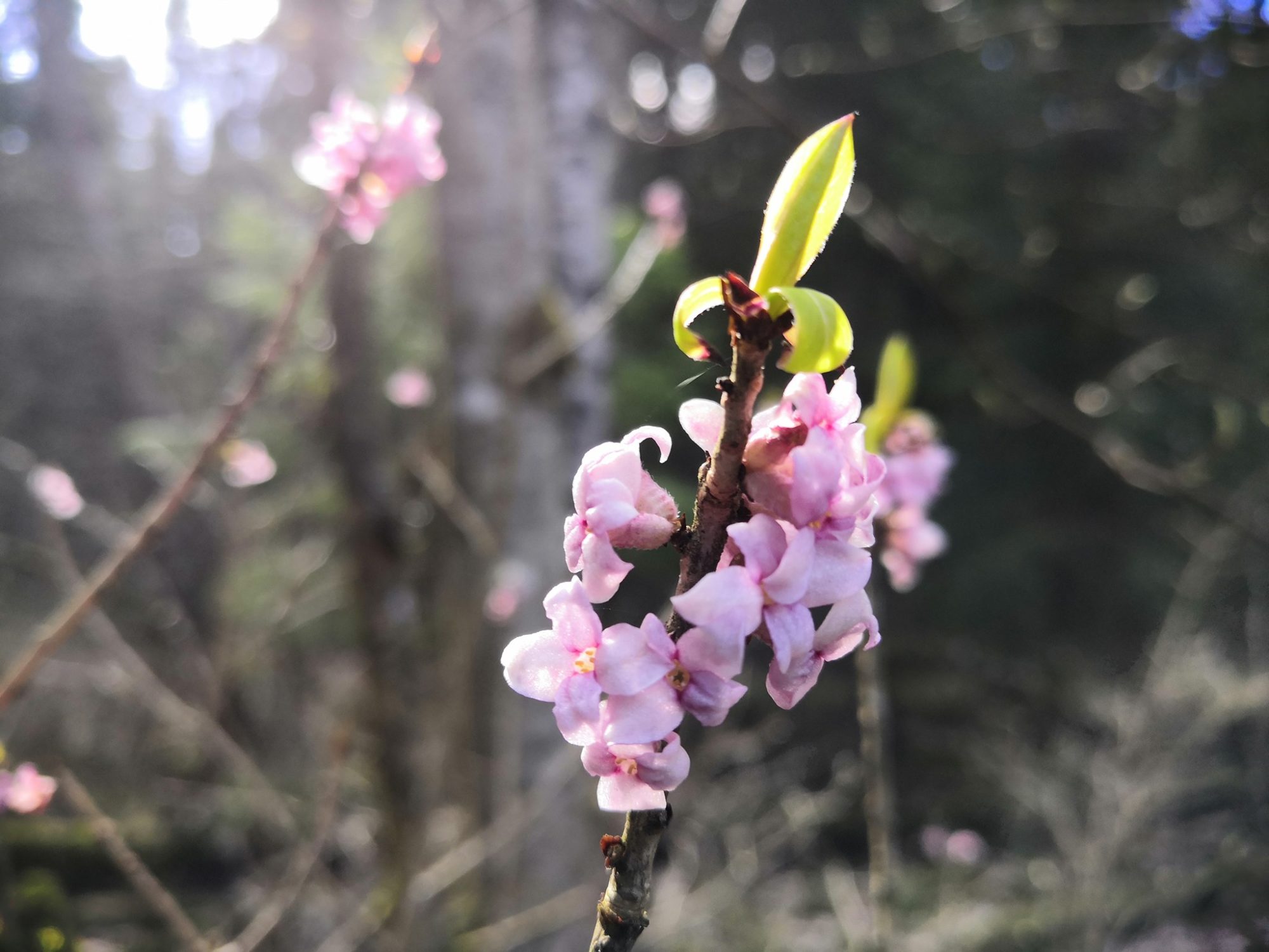 Valokuvaaja: Mari Ahtola Valokuvaaja: Mari Ahtola