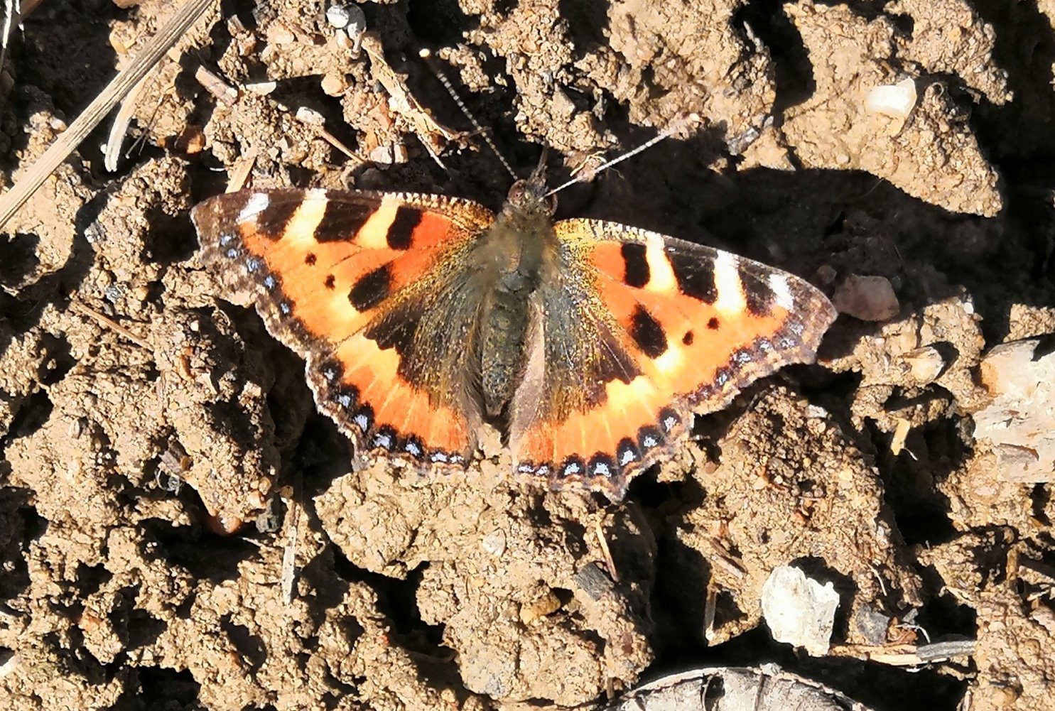 Valokuvaaja: Mari Ahtola