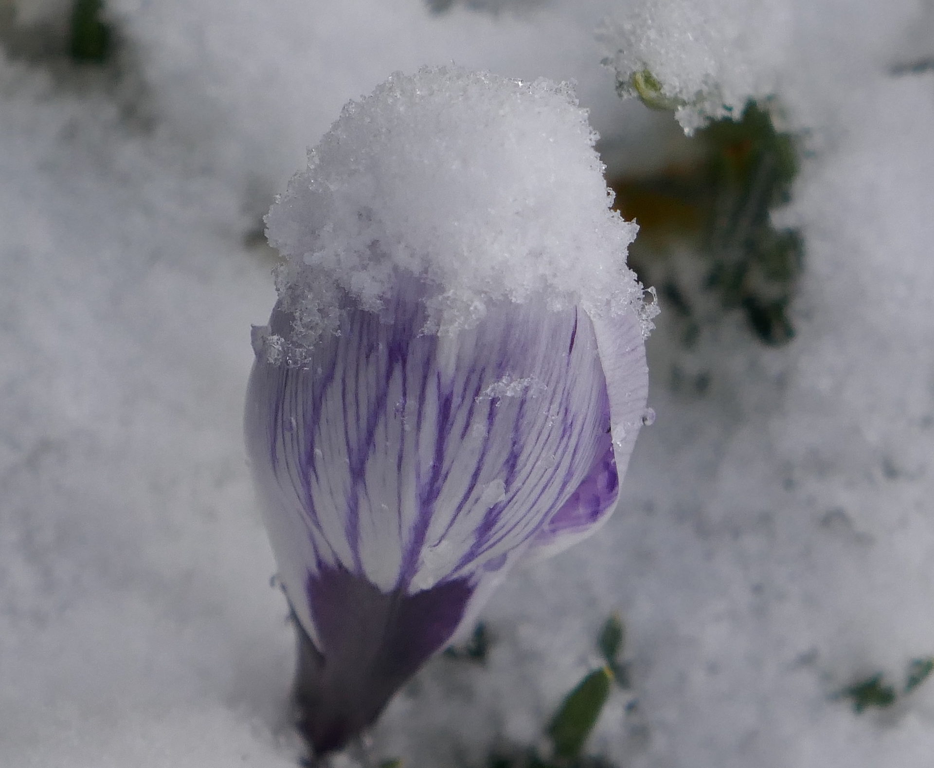 Valokuvaaja: Marjut Ikonen
