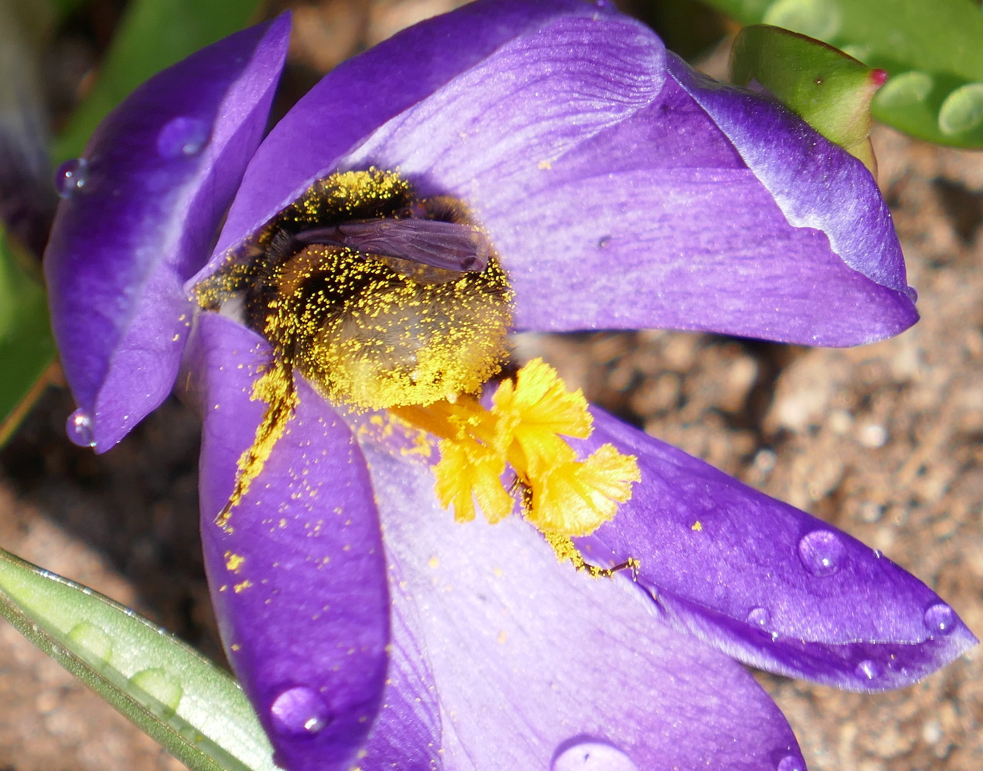 Valokuvaaja: Marjut Ikonen