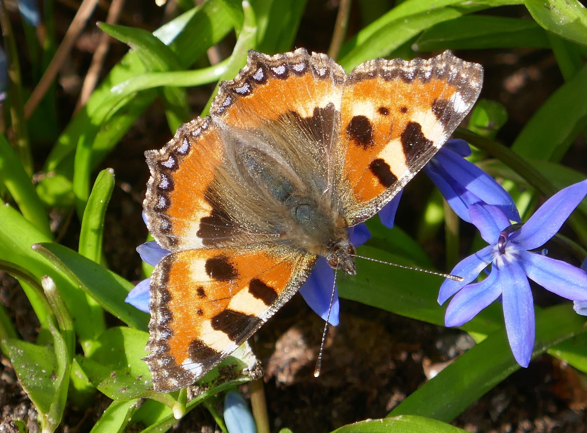 Valokuvaaja: Marjut Ikonen