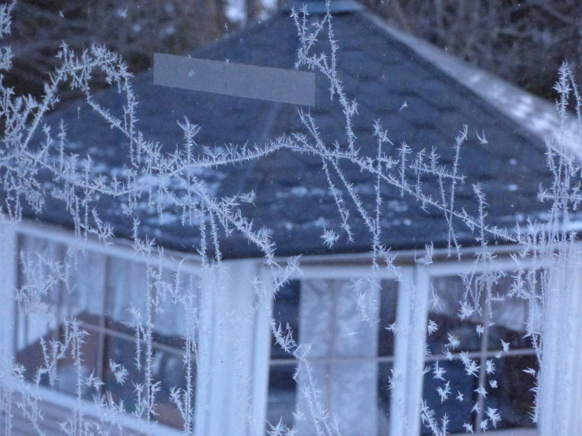 Valokuvaaja: Hannu Rissanen