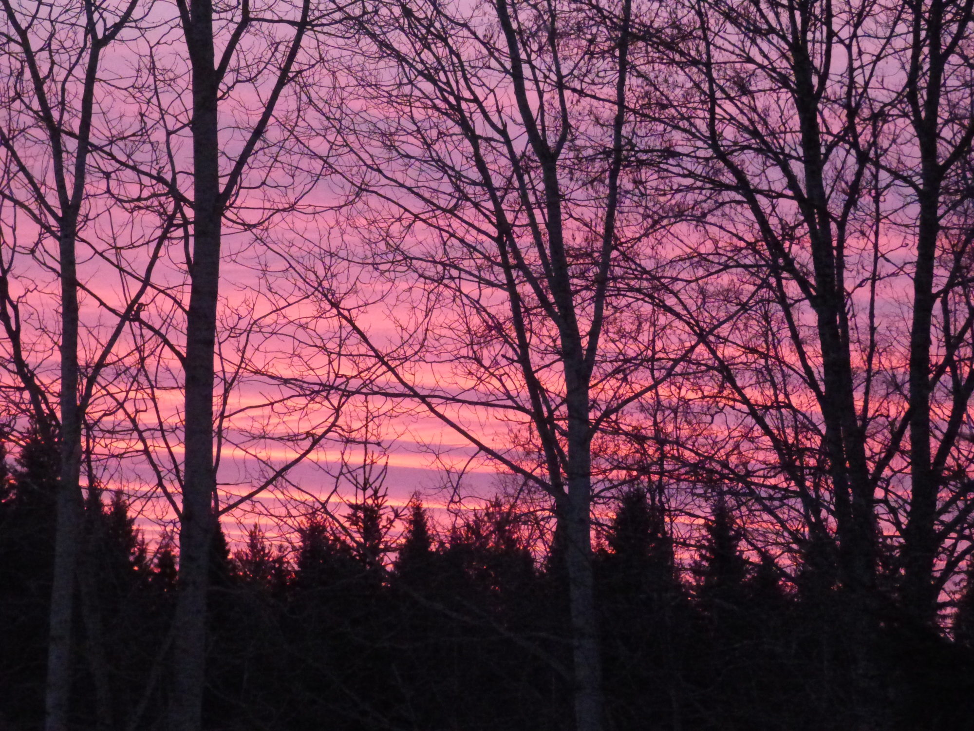 Valokuvaaja: Hannu Rissanen