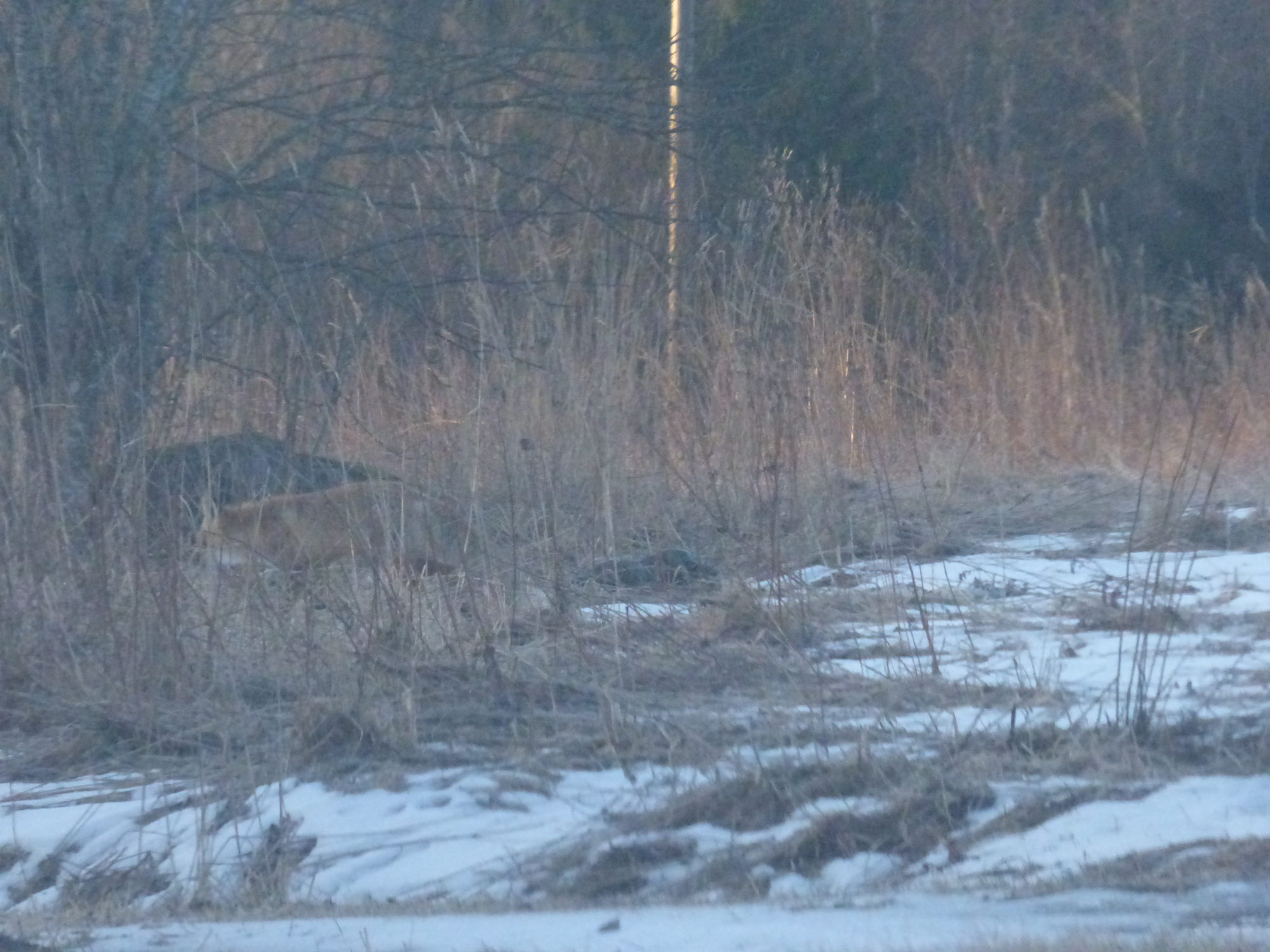 Valokuvaaja: Hannu Rissanen