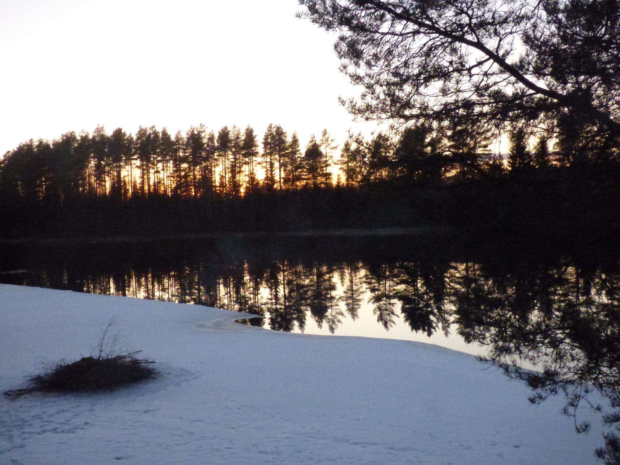 Valokuvaaja: Hannu Rissanen Valokuvaaja: Hannu Rissanen