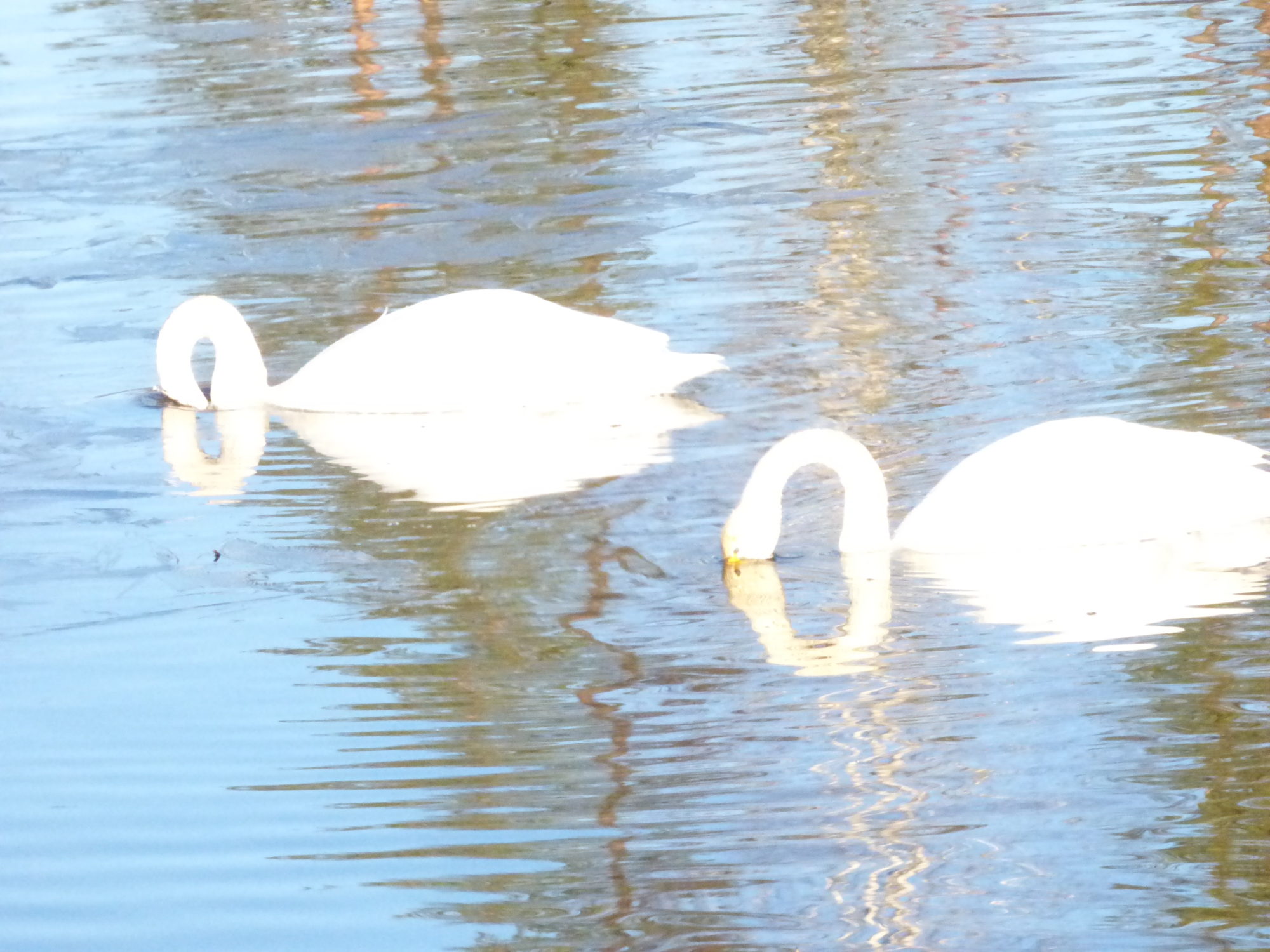 Valokuvaaja: Hannu Rissanen