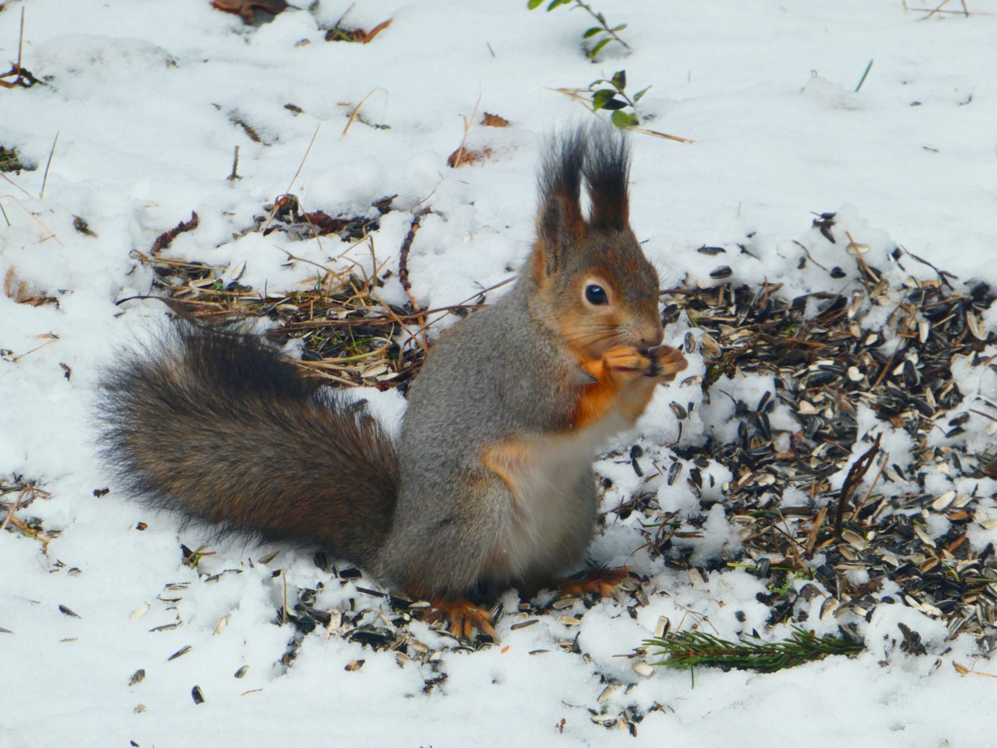 Valokuvaaja: Anja Mustamaa