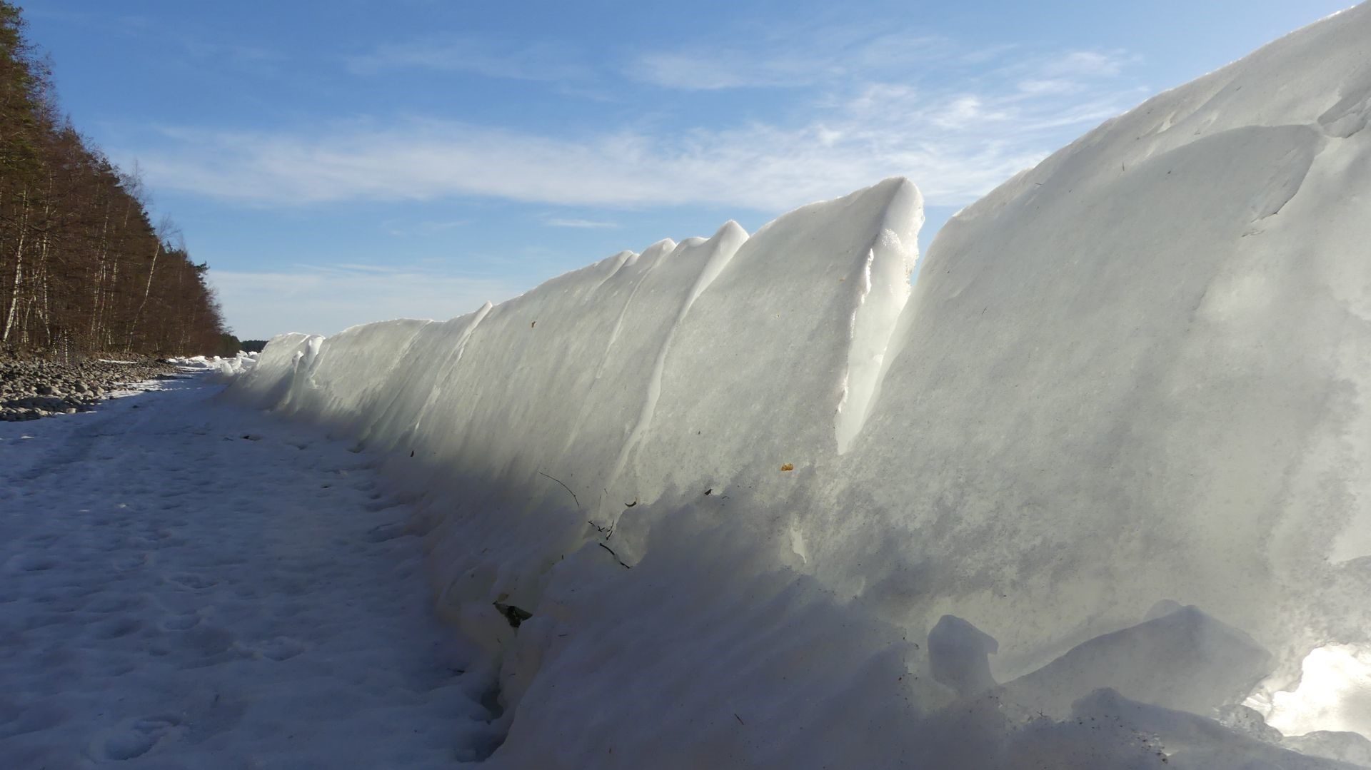 Valokuvaaja: Martti Valtonen