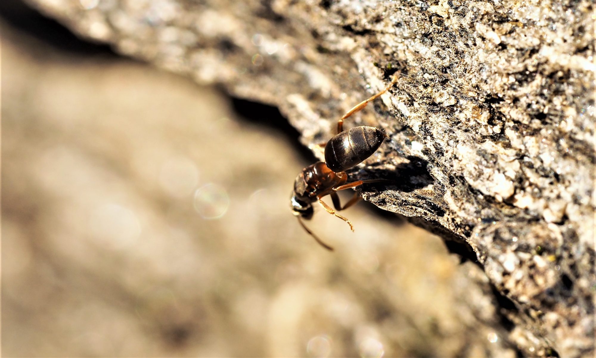 Valokuvaaja: Arja Valtonen