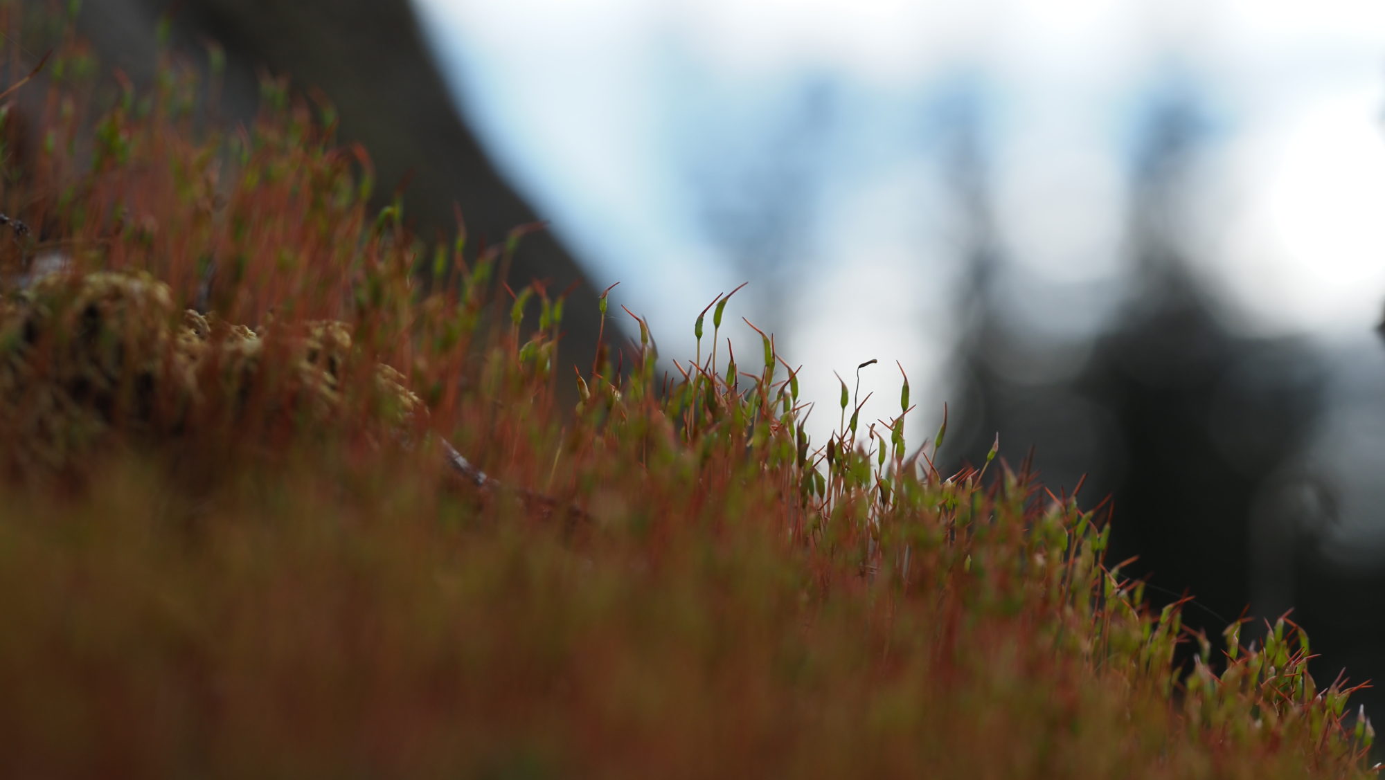 Valokuvaaja: Arja Valtonen