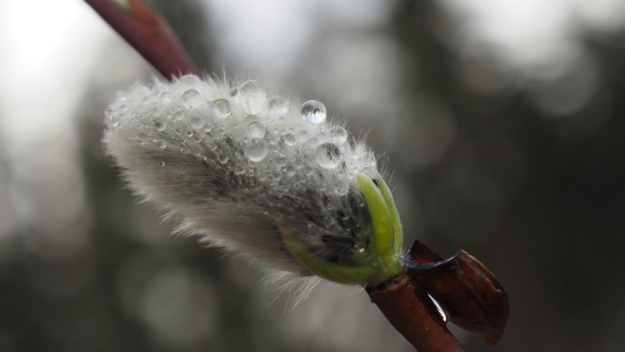 Valokuvaaja: Arja Valtonen