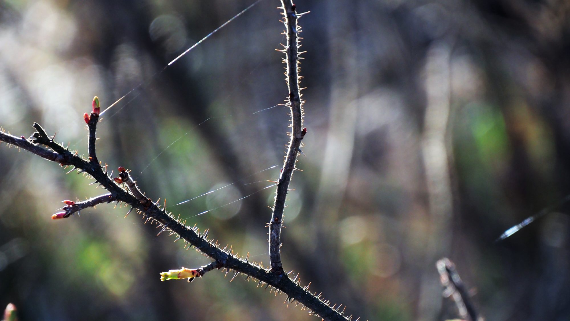 Valokuvaaja: Arja Valtonen