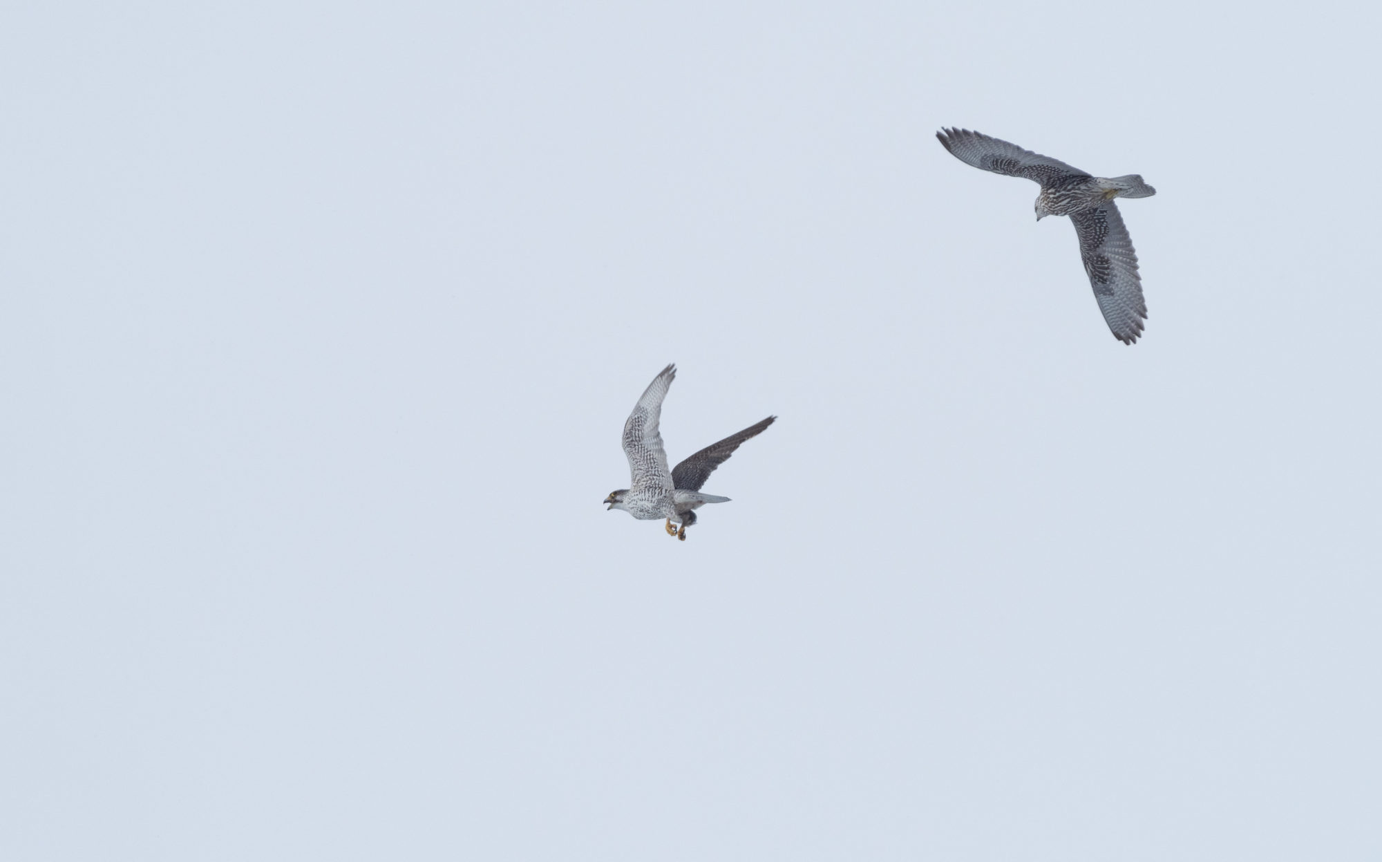 Valokuvaaja: Henrikki Hetemaa