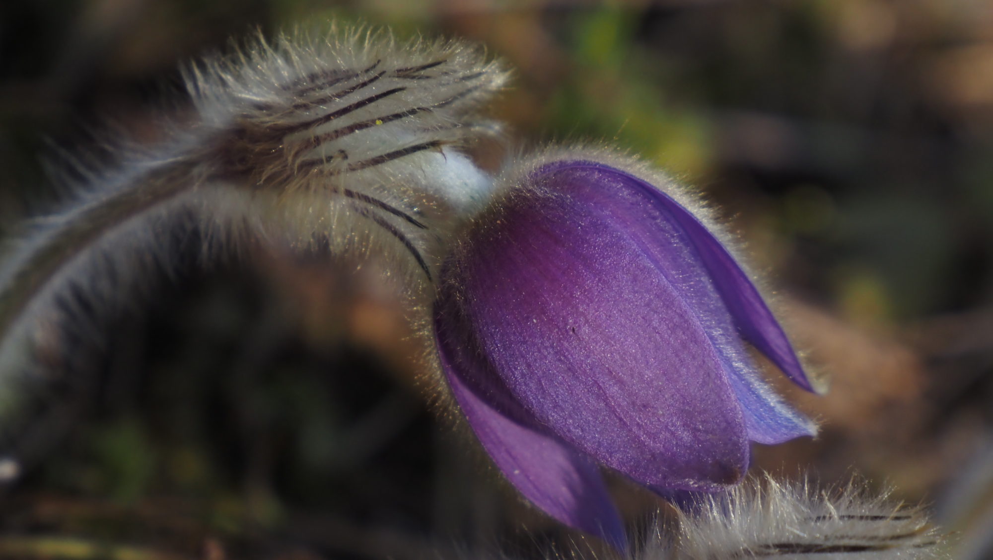 Valokuvaaja: Arja Valtonen Valokuvaaja: Arja Valtonen