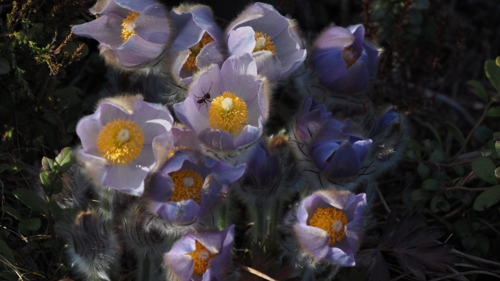 Valokuvaaja: Arja Valtonen