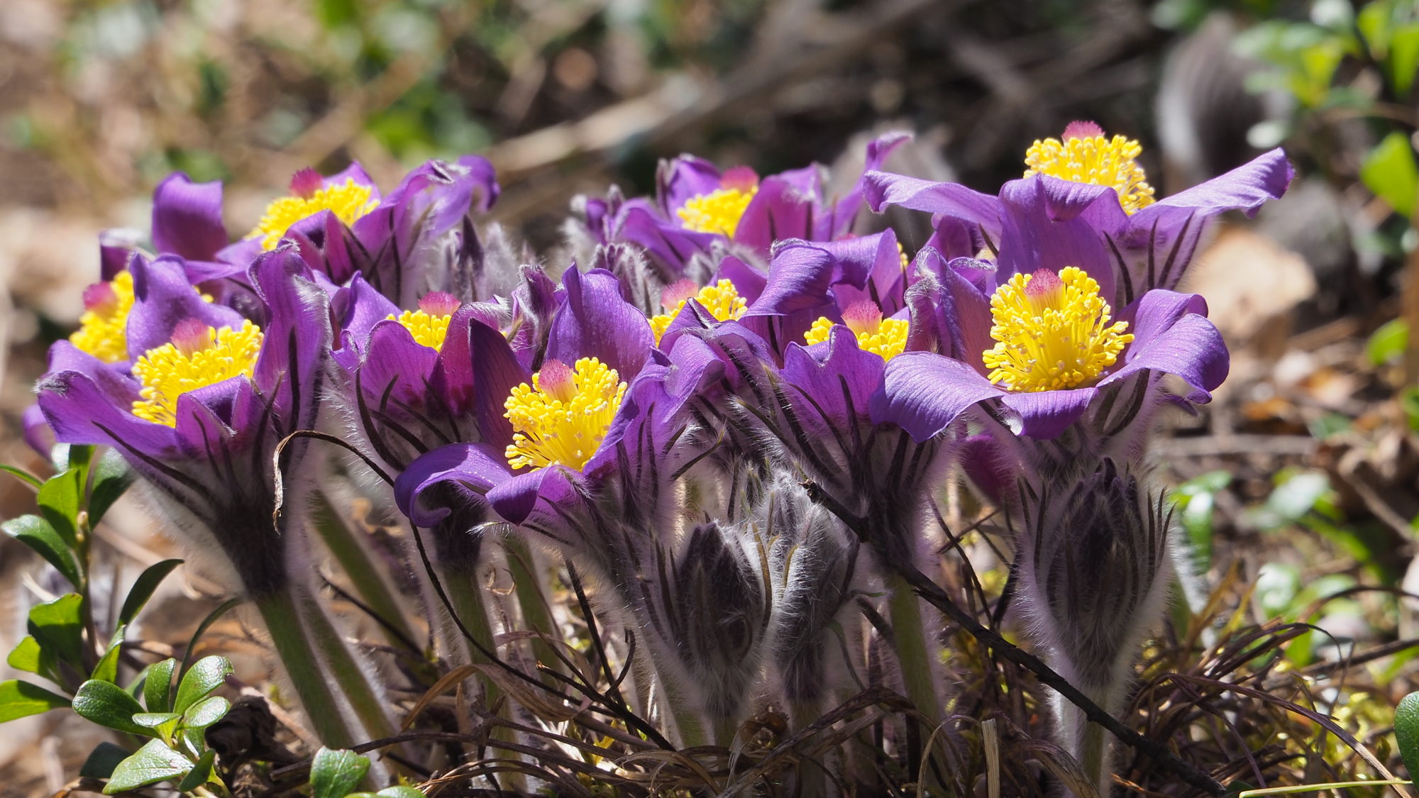 Valokuvaaja: Martti Valtonen