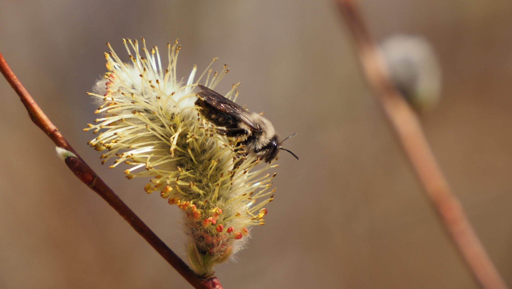 Valokuvaaja: Arja Valtonen