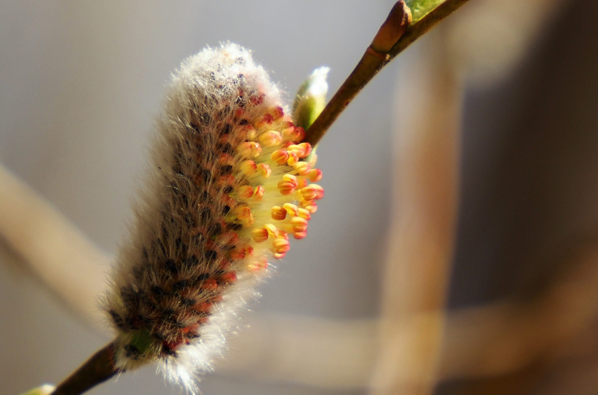 Valokuvaaja: Arja Valtonen