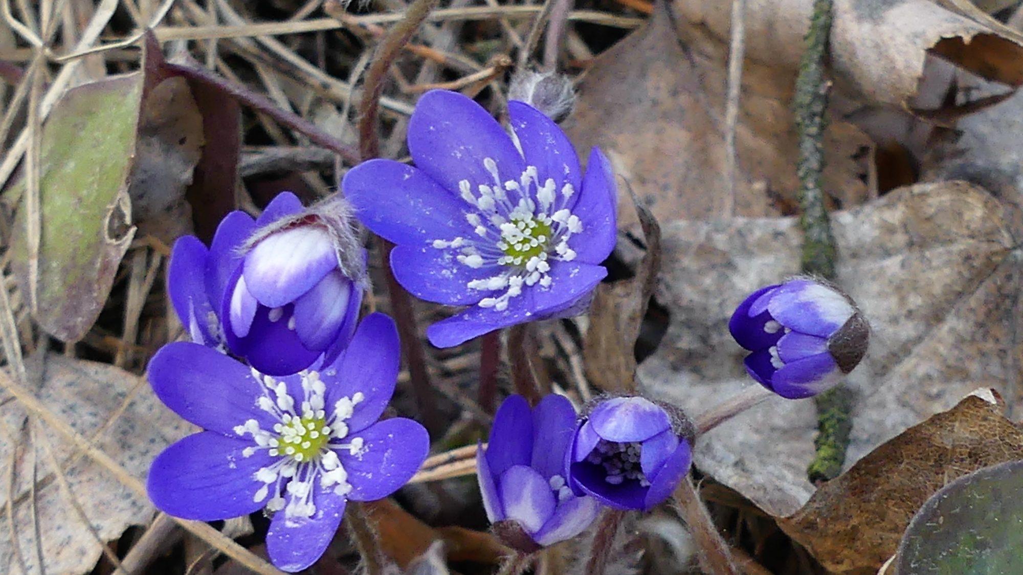 Valokuvaaja: Martti Valtonen