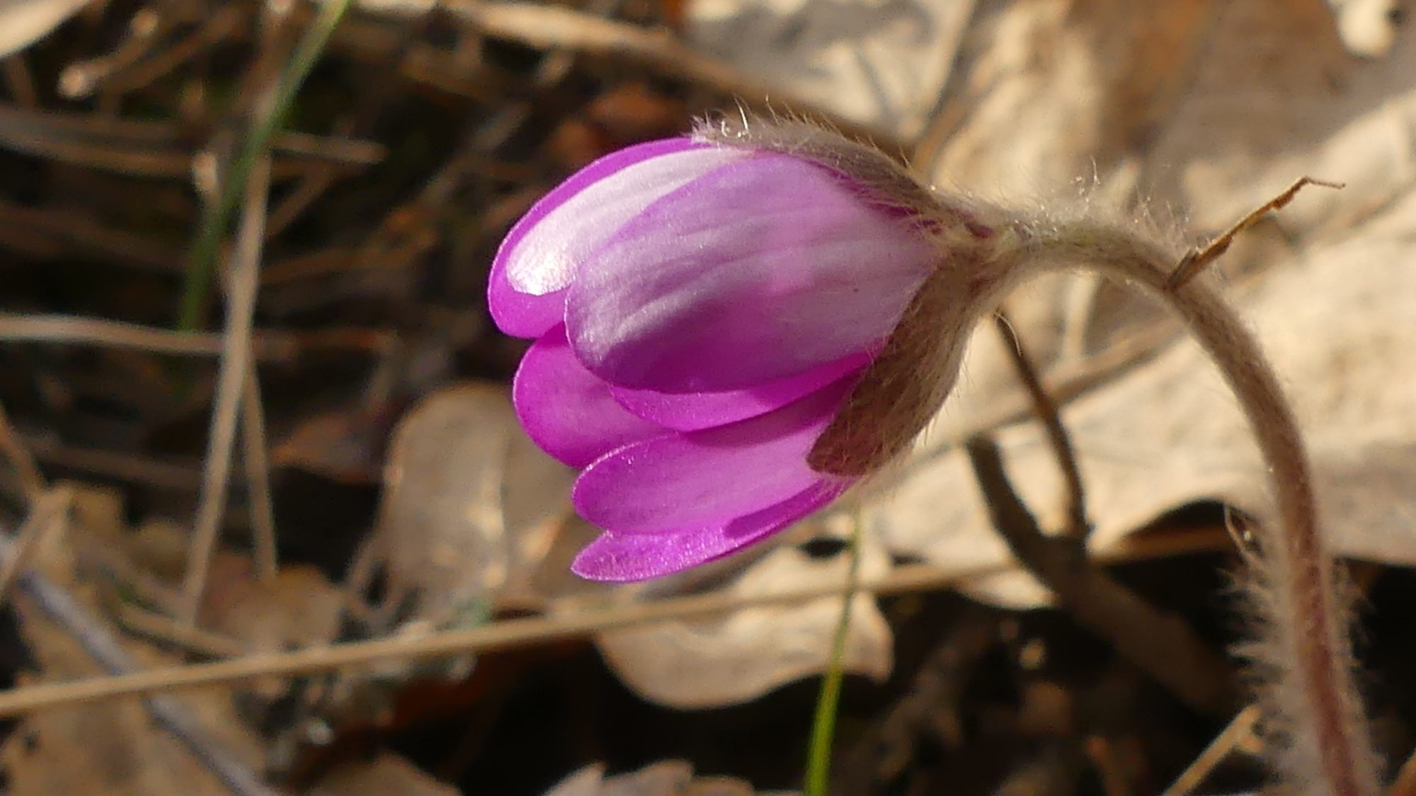 Valokuvaaja: Martti Valtonen