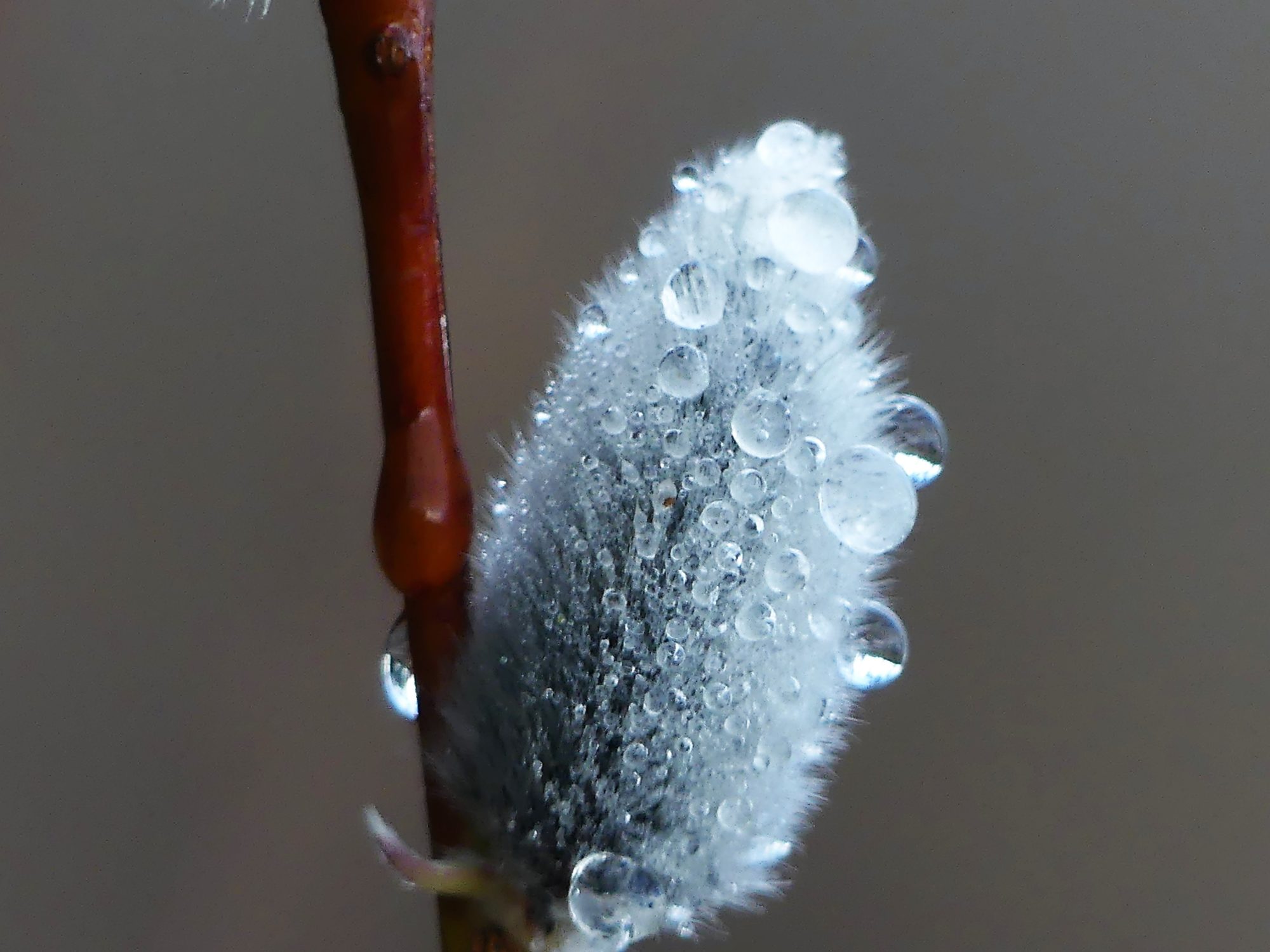 Valokuvaaja: Valtonen Martti