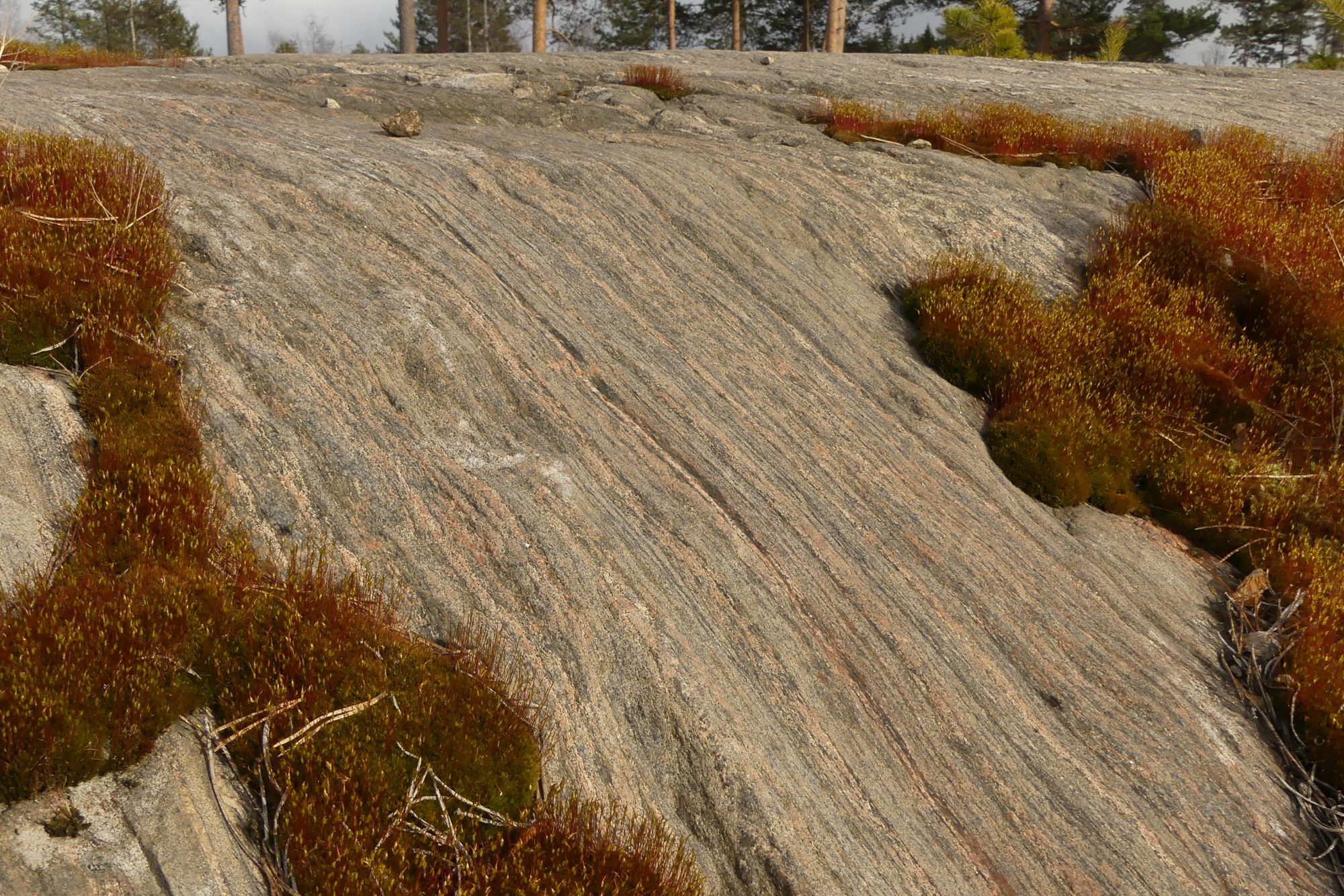 Valokuvaaja: Martti Valtonen