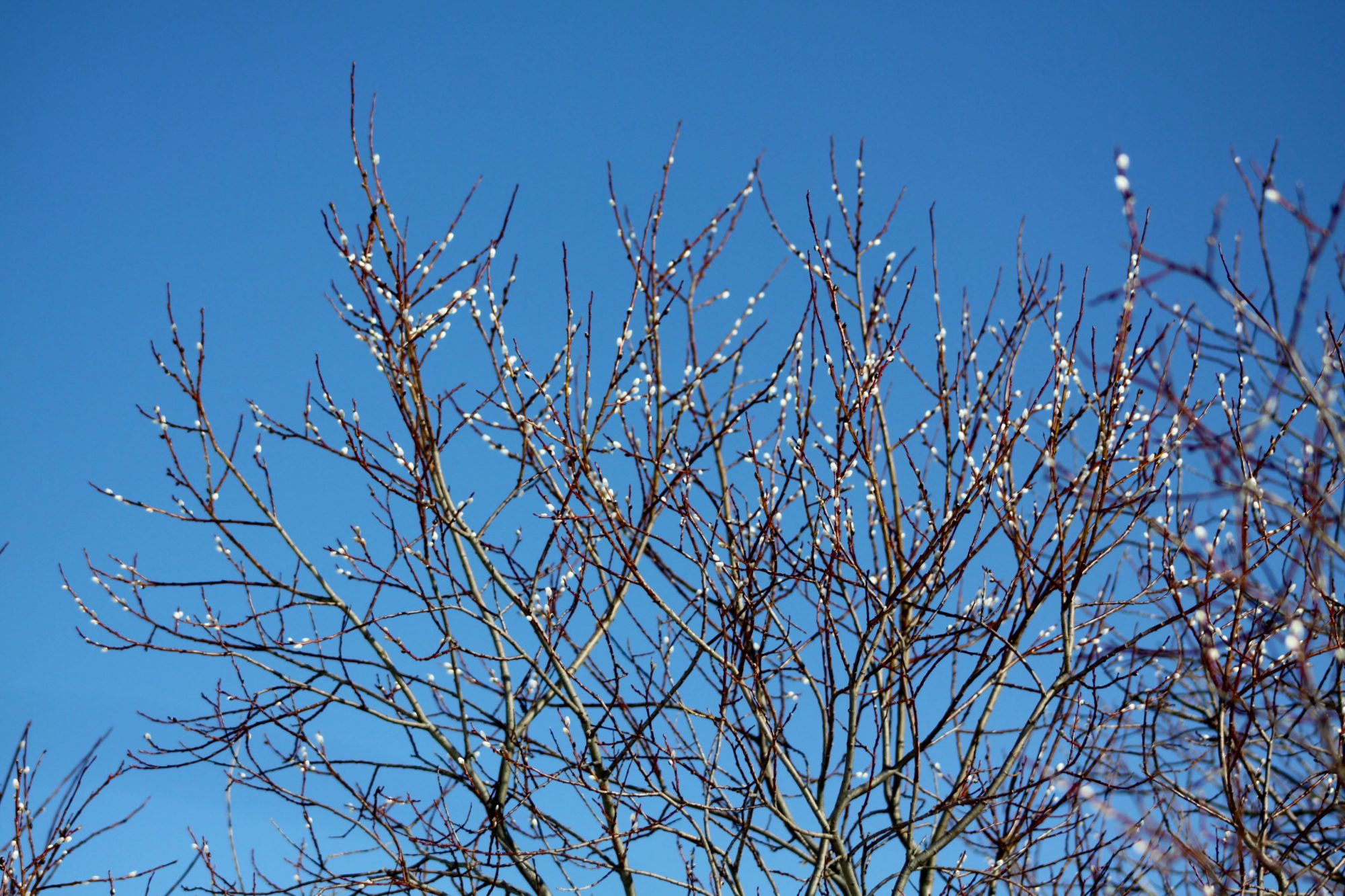 Valokuvaaja: Pirkko Siukonen
