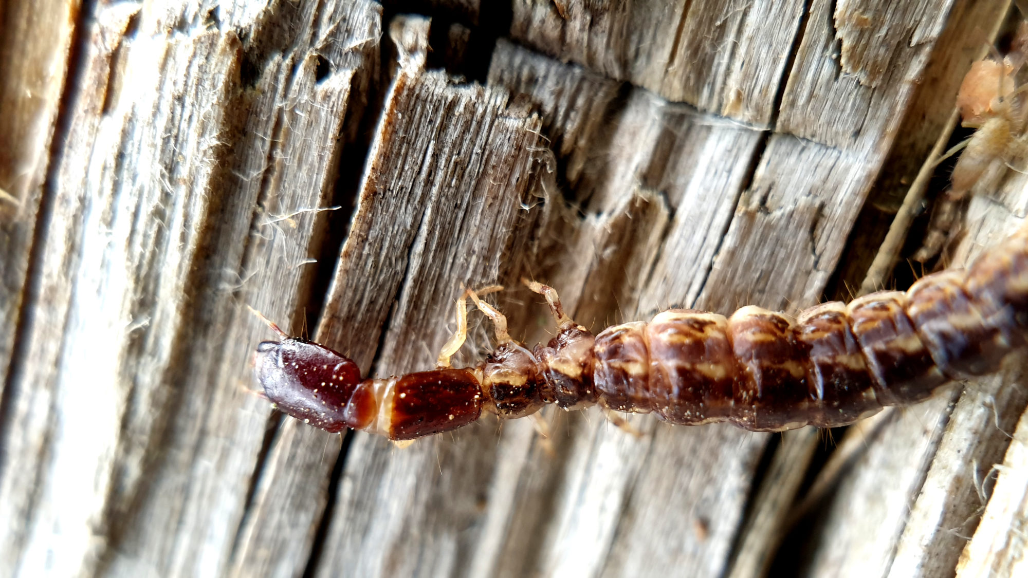 Valokuvaaja: Mikko Saarinen Valokuvaaja: Mikko Saarinen